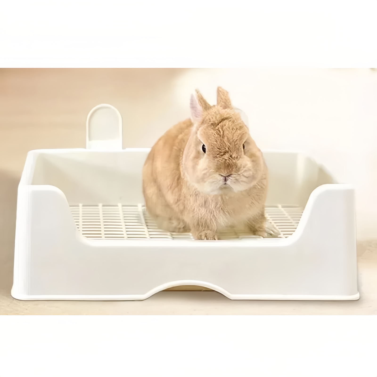 兔兔大廁所 - 白色