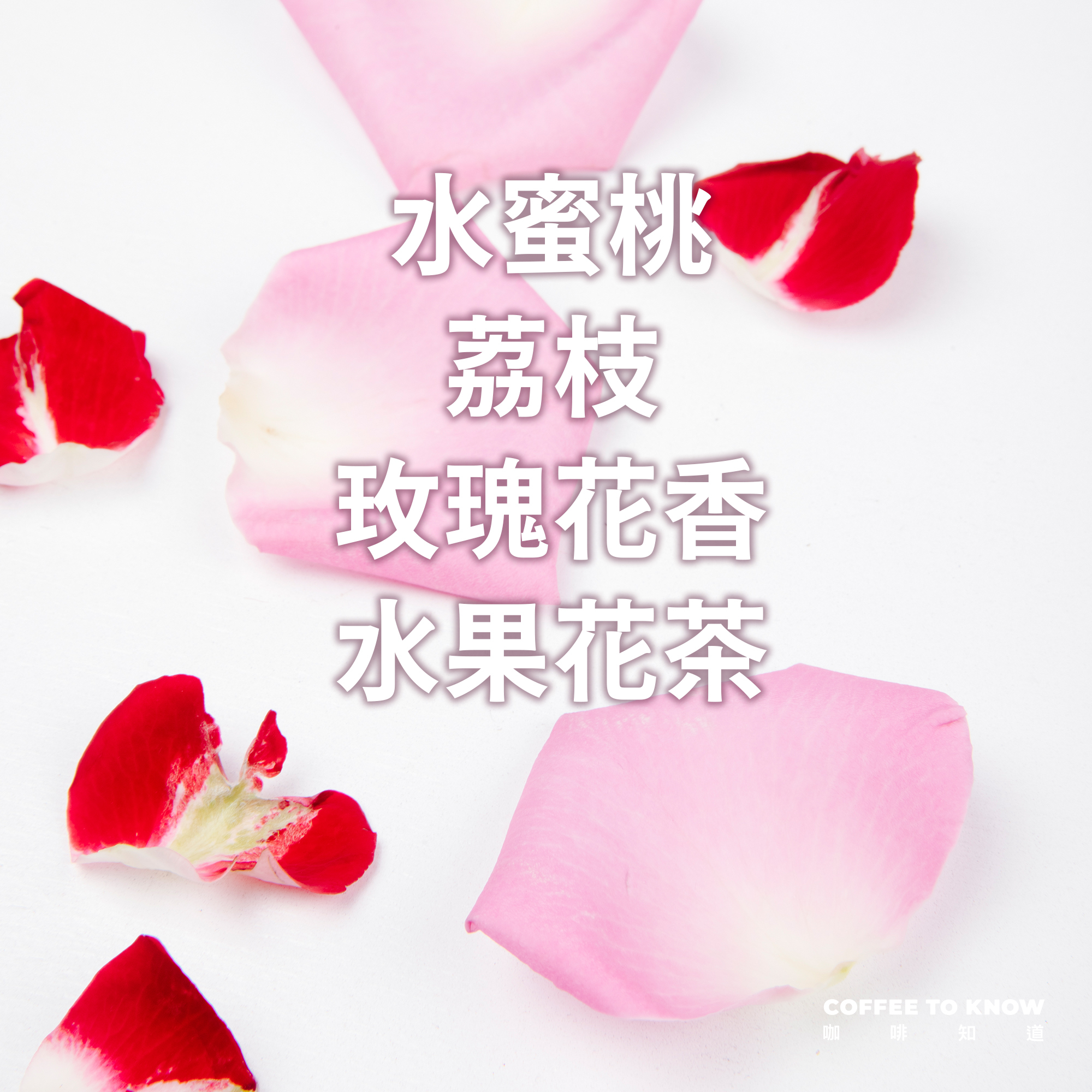 浸泡10包 / 中淺焙 哥倫比亞 天堂莊園 艷夏花荔 雙重厭氧發酵