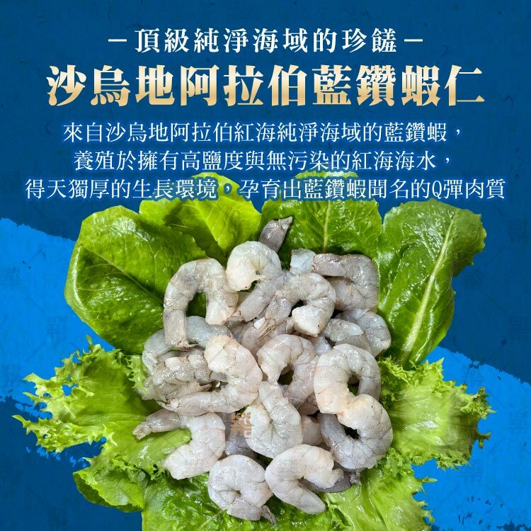 來自沙烏地阿拉伯紅海純淨海域的藍鑽蝦