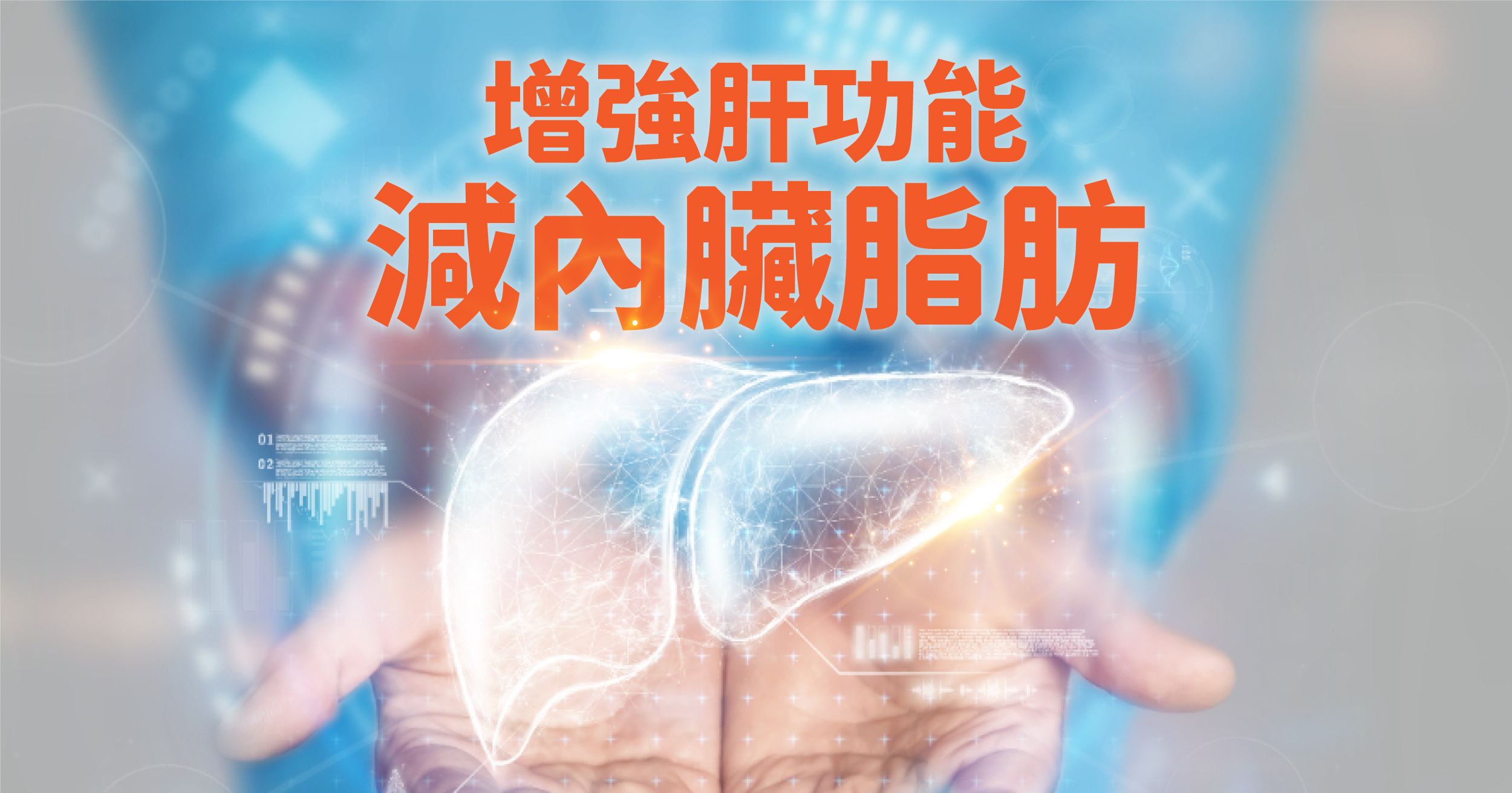 減內臟脂肪控制肥肝 由增強肝功能做起