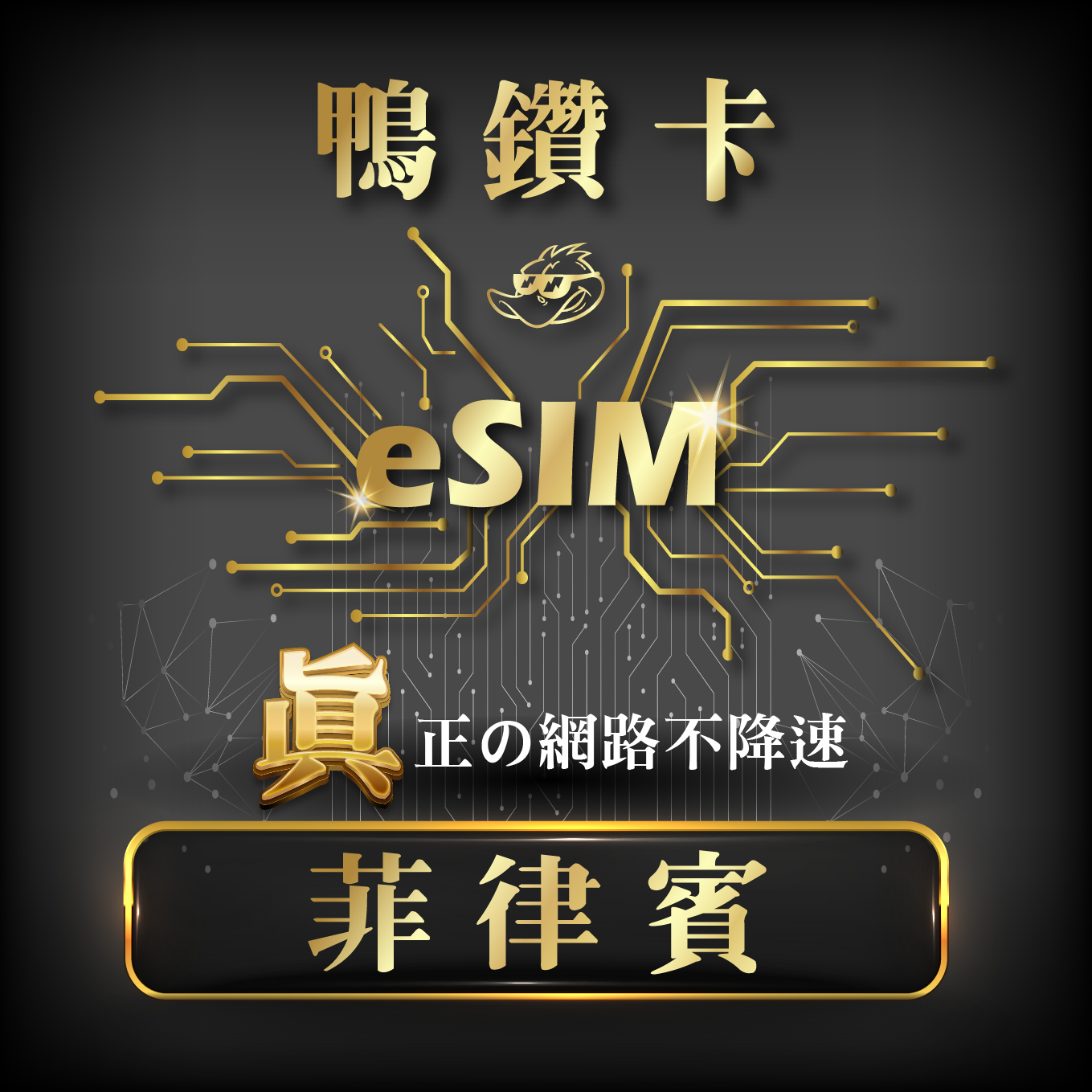 【鴨哥鴨鑽卡eSIM】菲律賓 eSIM 無限流量 吃到飽不降速 免換卡