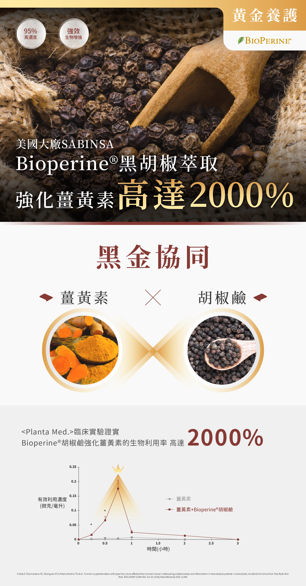 薑黃禹胡椒檢可強化高達2000%