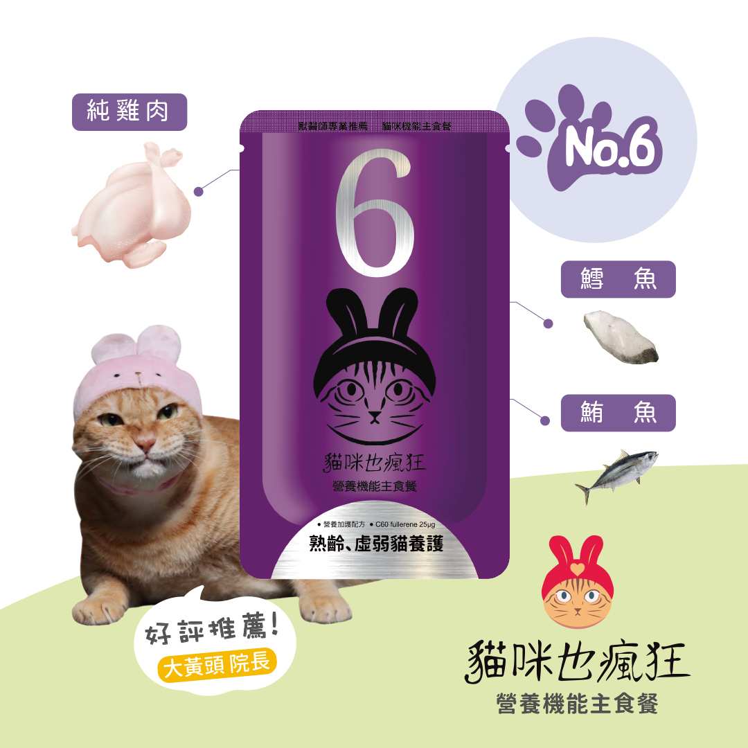 【貓咪也瘋狂】No.6｜老貓 虛弱貓養護