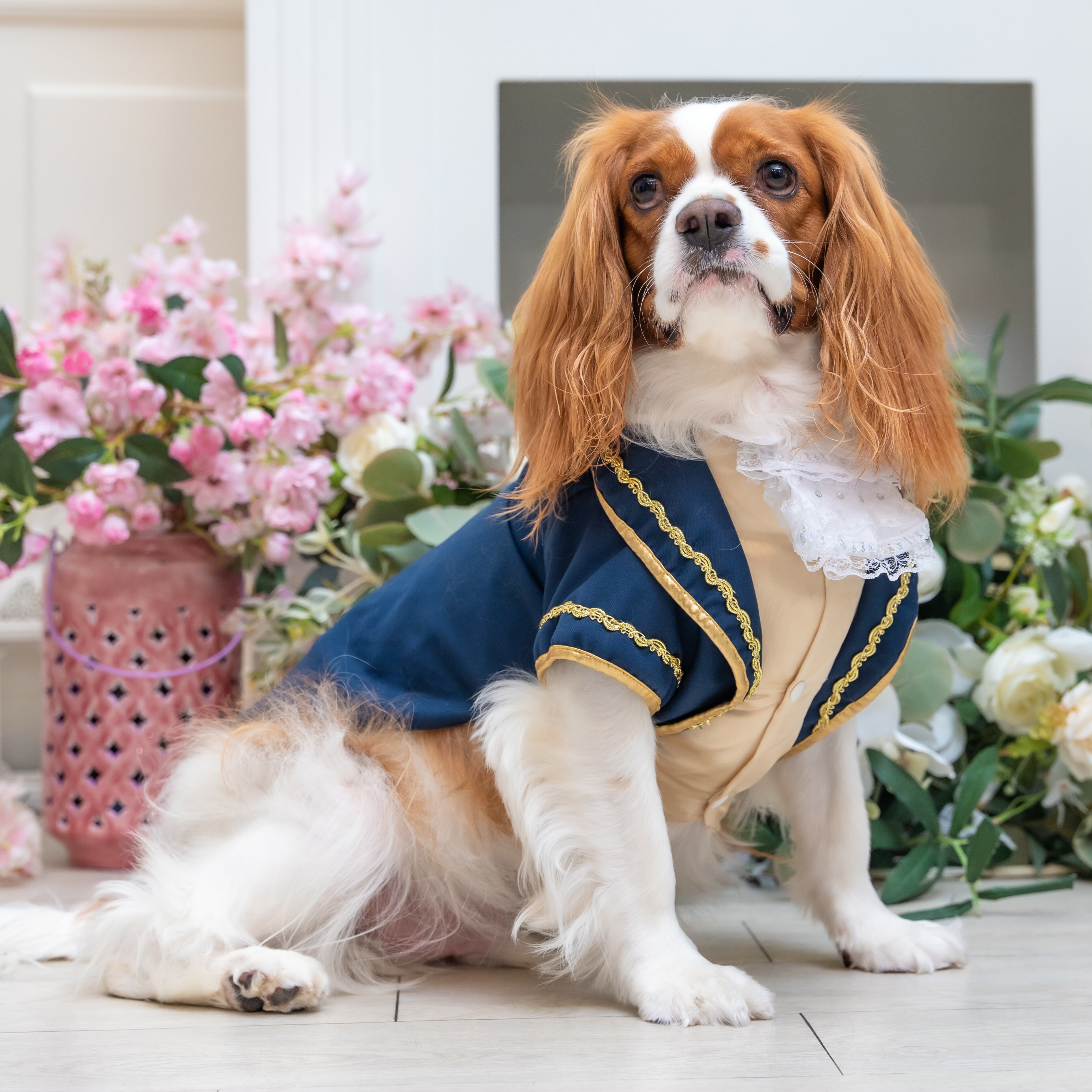 【XS~6XL】Prince Tuxedo