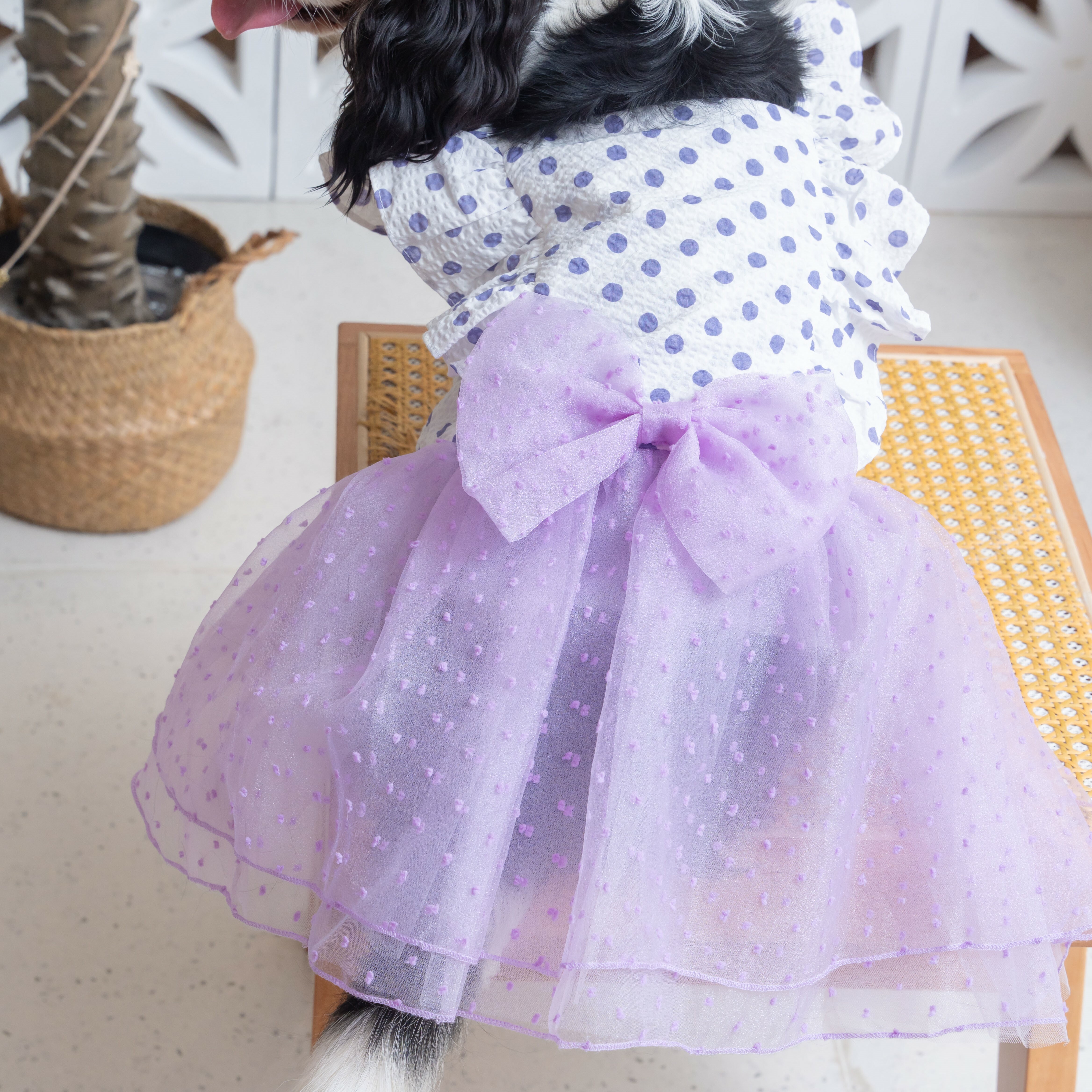 Purple Polka Dot Summer Dress