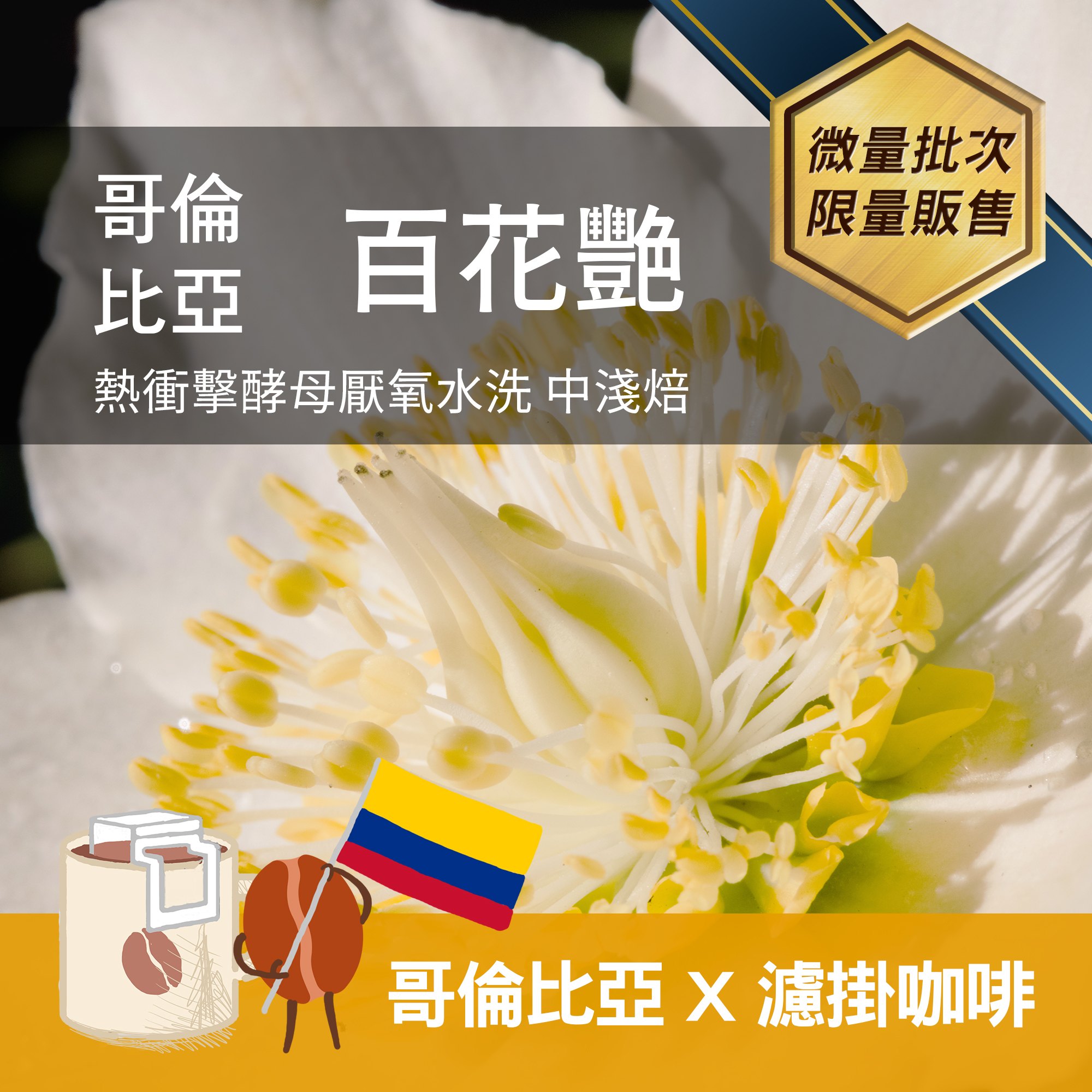 濾掛10包 / 哥倫比亞 百花艷 熱衝擊酵母厭氧水洗