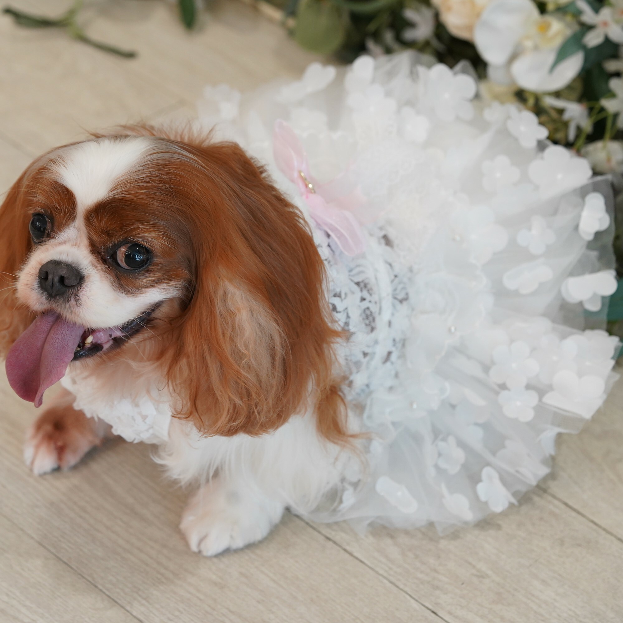 Rhinestone Bunny Lace One-piece Dress