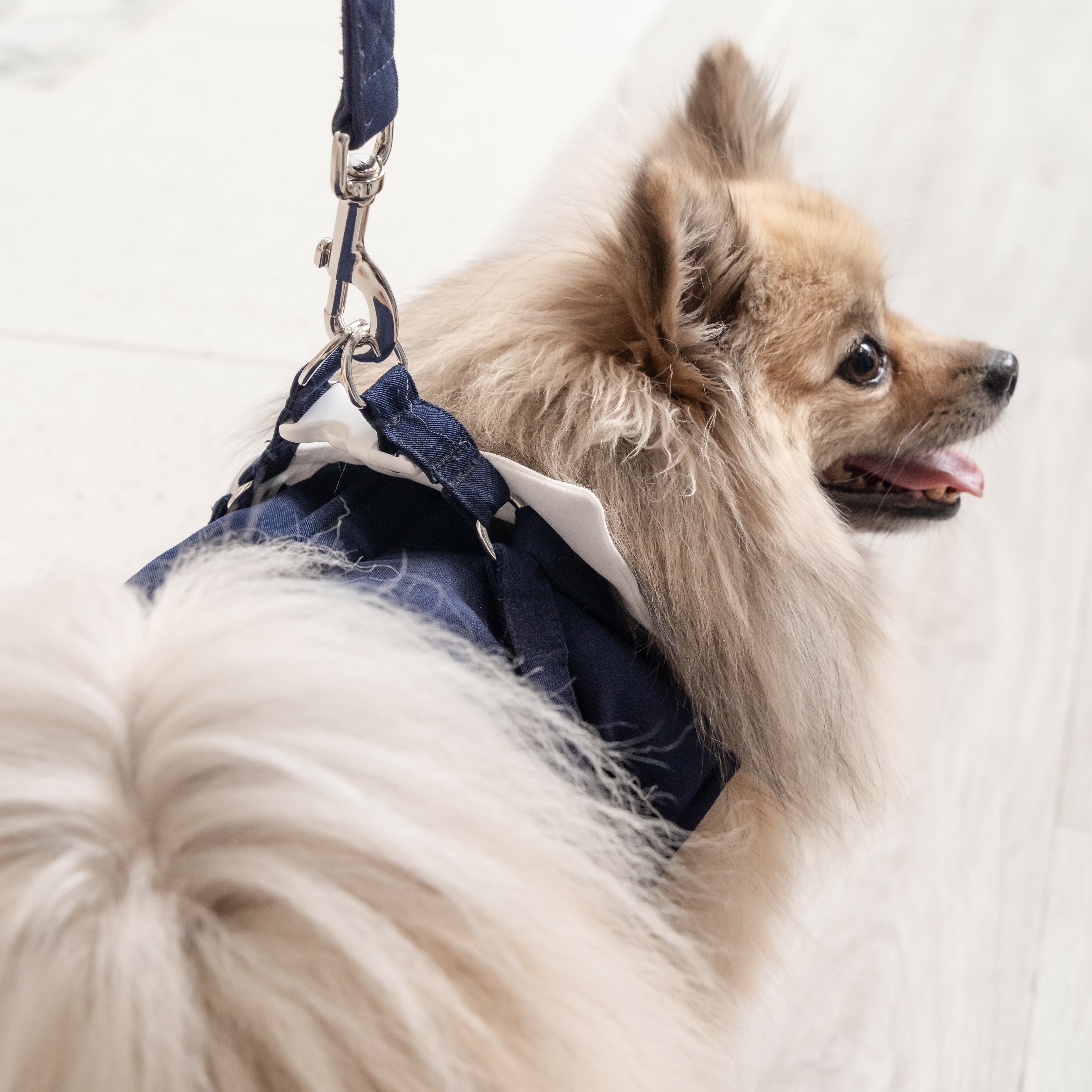 Sailor Style Harness