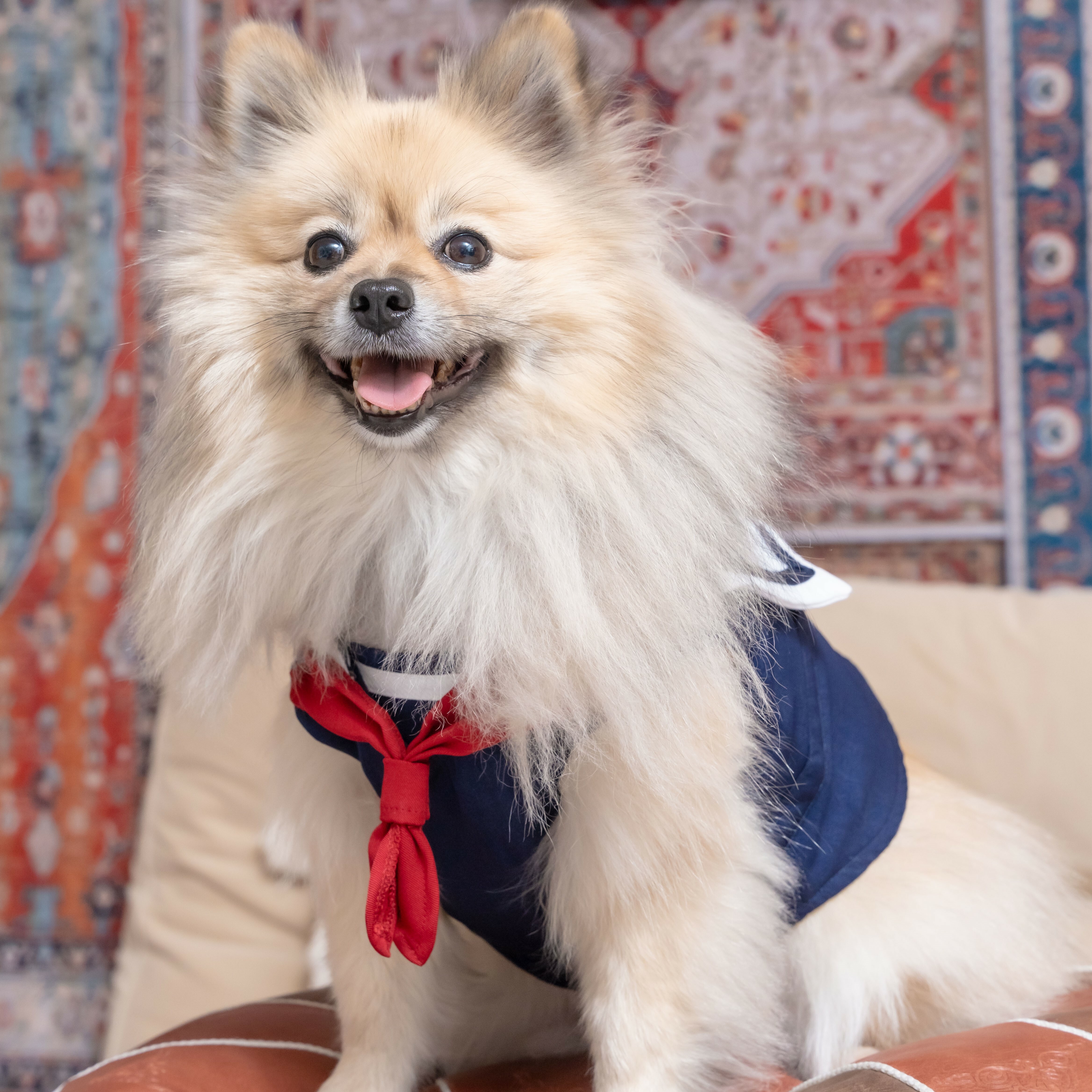 Sailor Style Harness