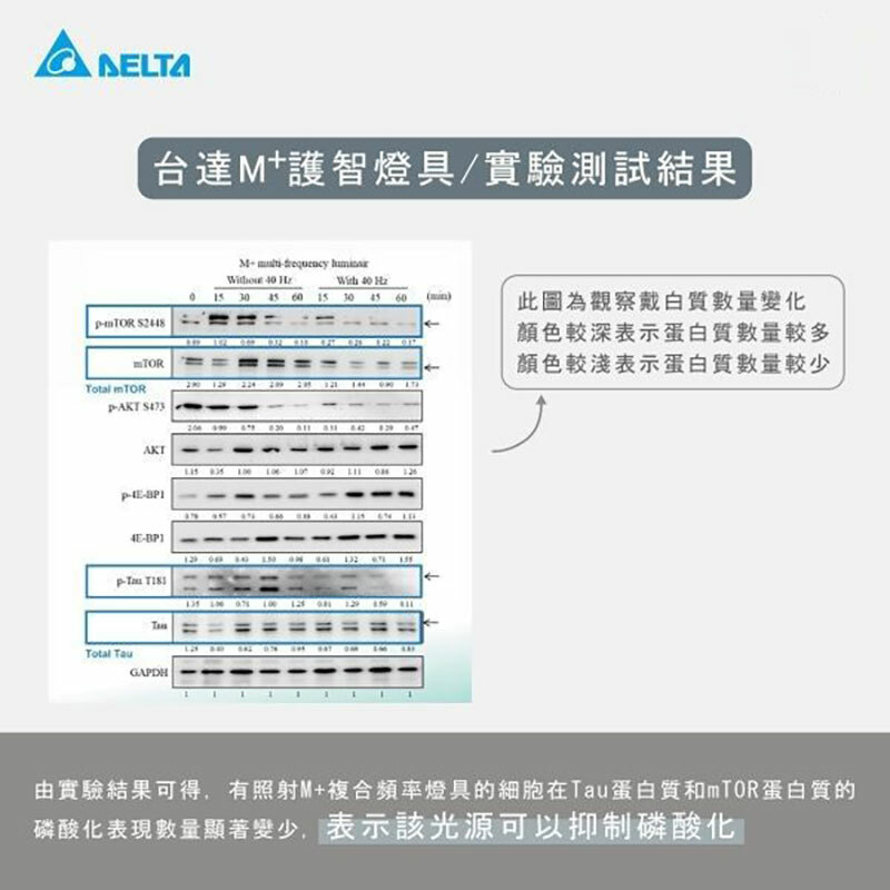 台達M+護智燈-立燈