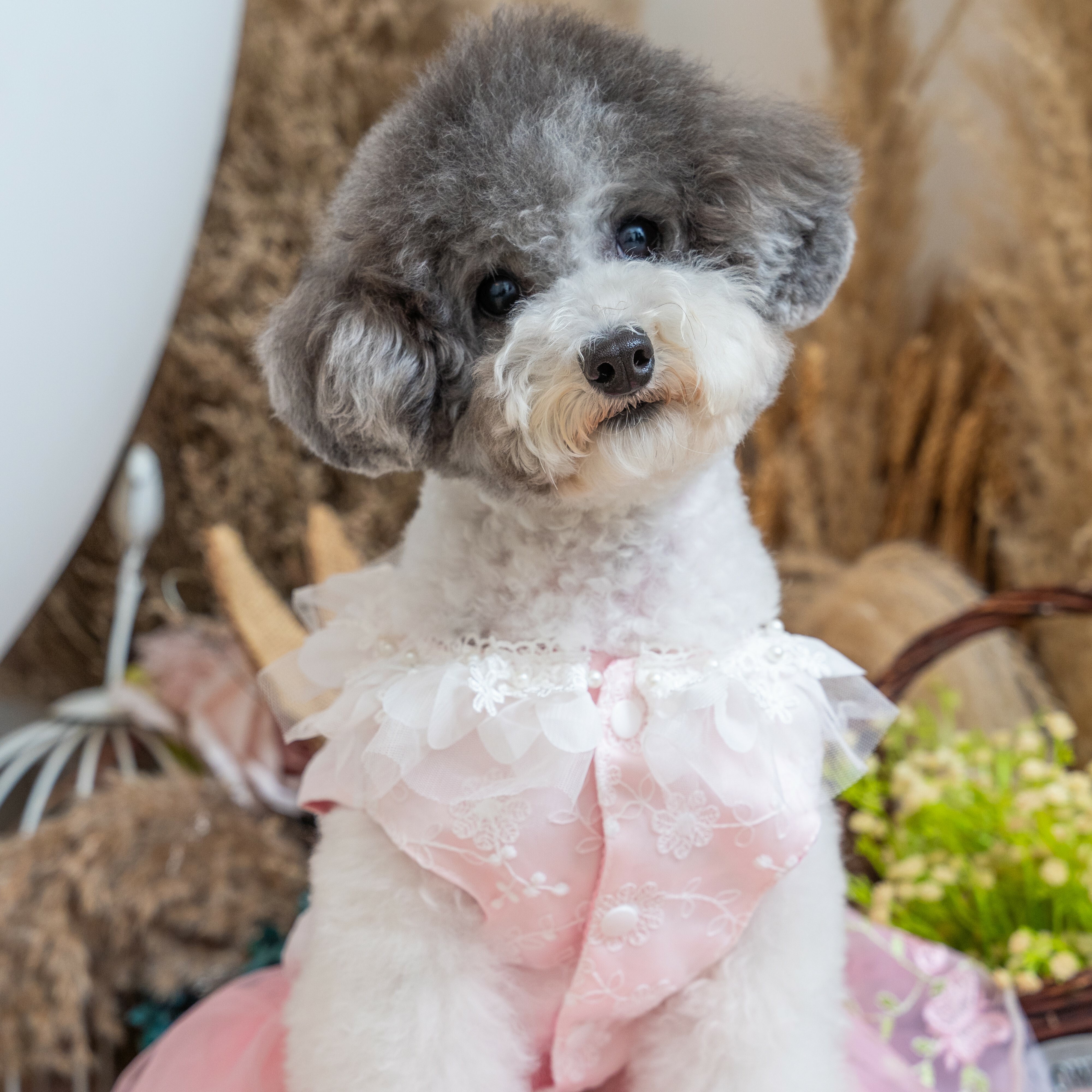 Spring Beaded Floral With Embroidered Butterfly Dress
