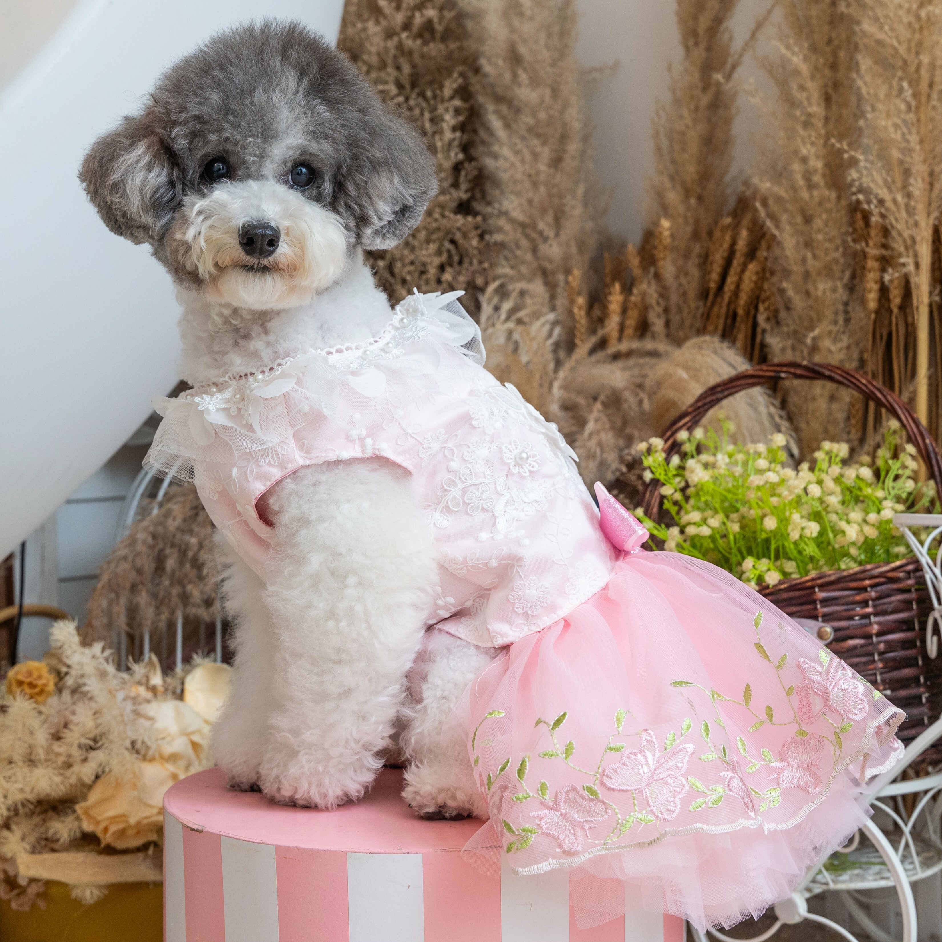 Spring Beaded Floral With Embroidered Butterfly Dress