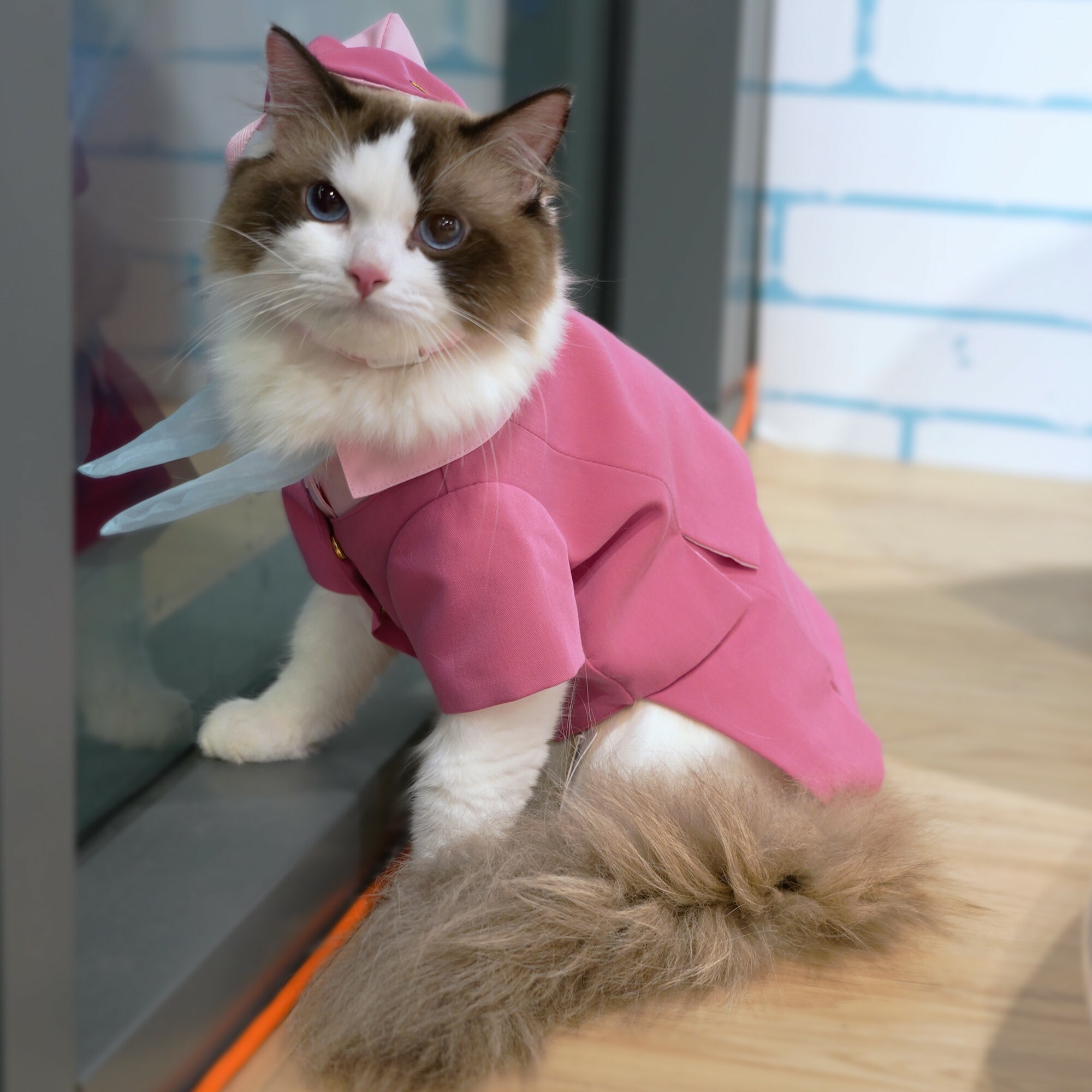 Stewardess Suit With Hat