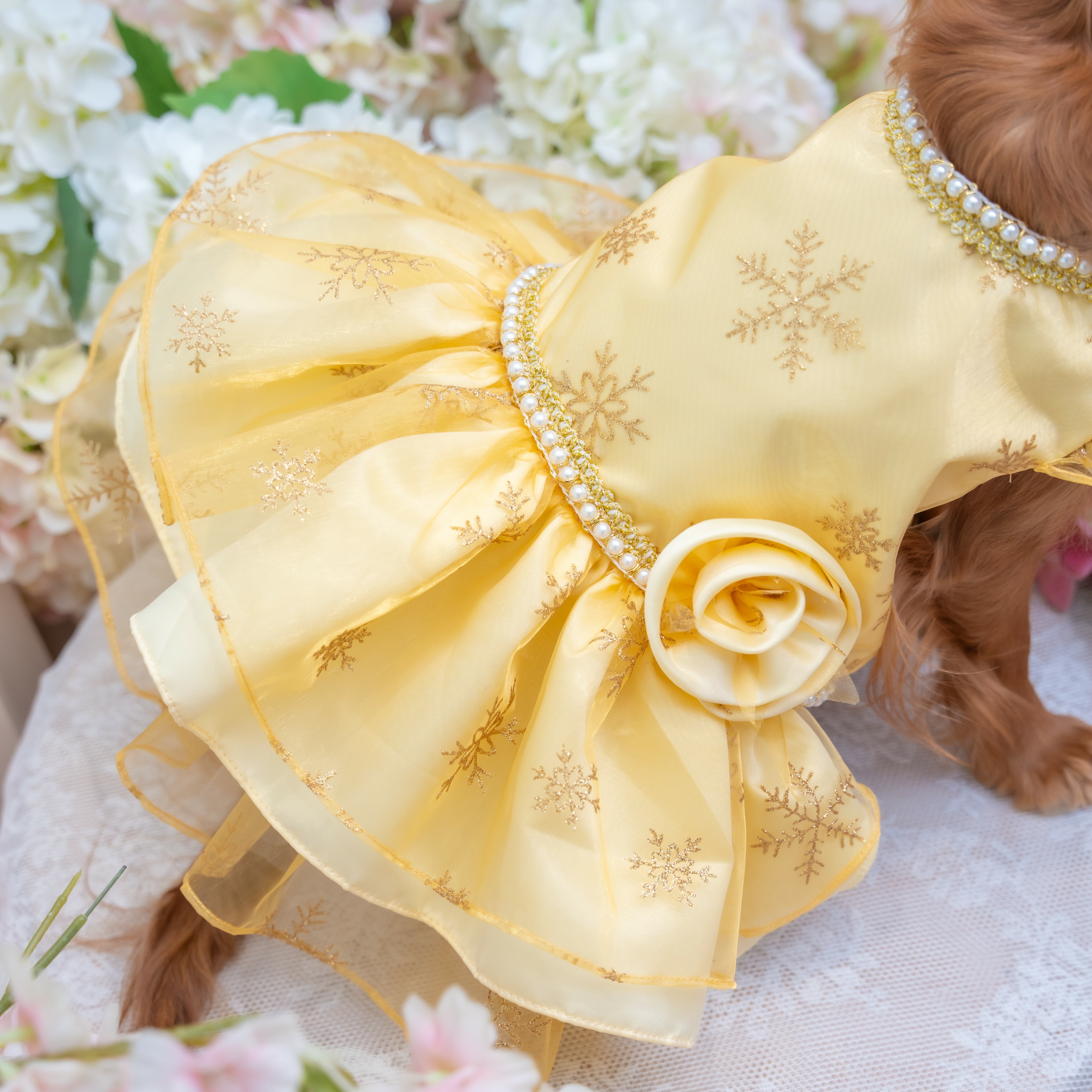 Golded Snowflake Dress