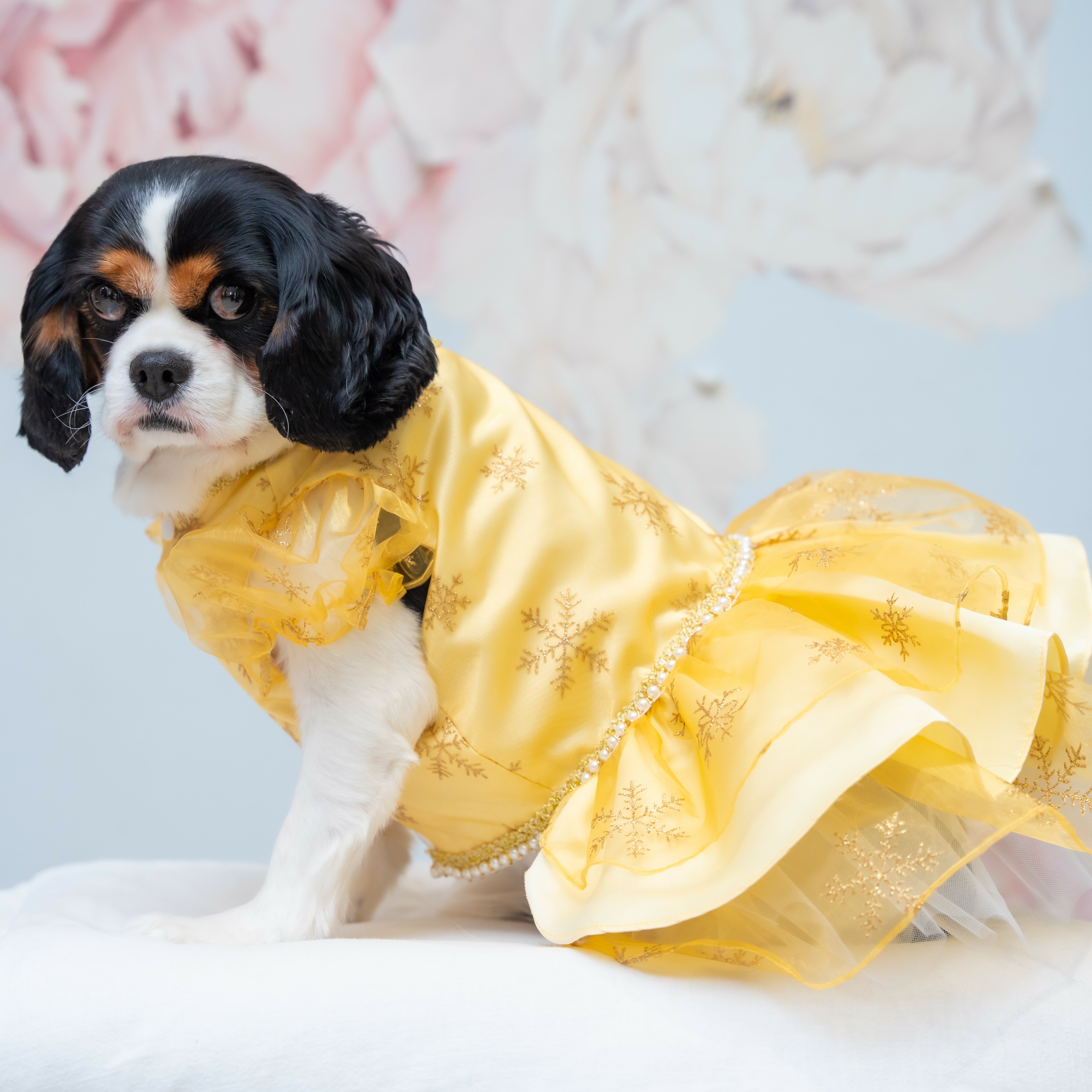 Golden Snowflakes Dress