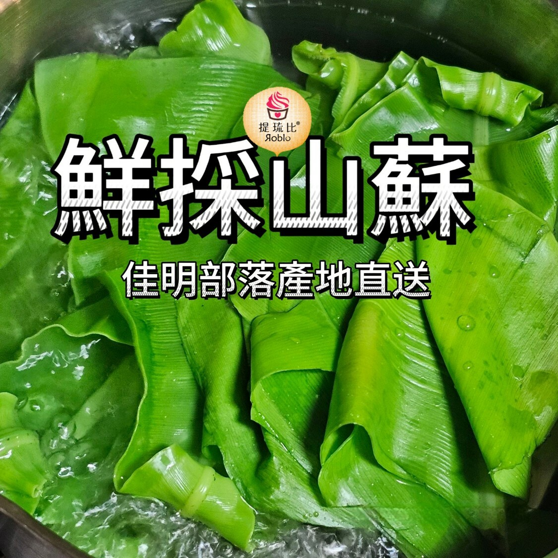 花蓮山蘇嫩葉 （可加購雨來菇）｜佳民部落平地野放 (樹蔭共生) ｜ 全台冷藏宅配到府、產地直送!*