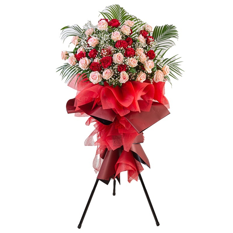 HCB81 ⭐⭐⭐⭐⭐FREE DELIVERY