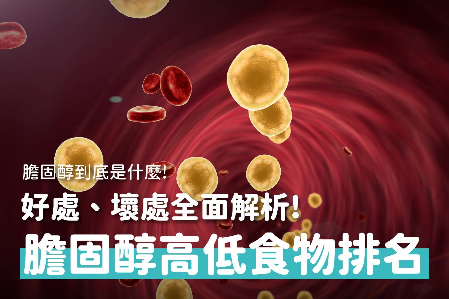 膽固醇食物排名！膽固醇好處、壞處全面解析！