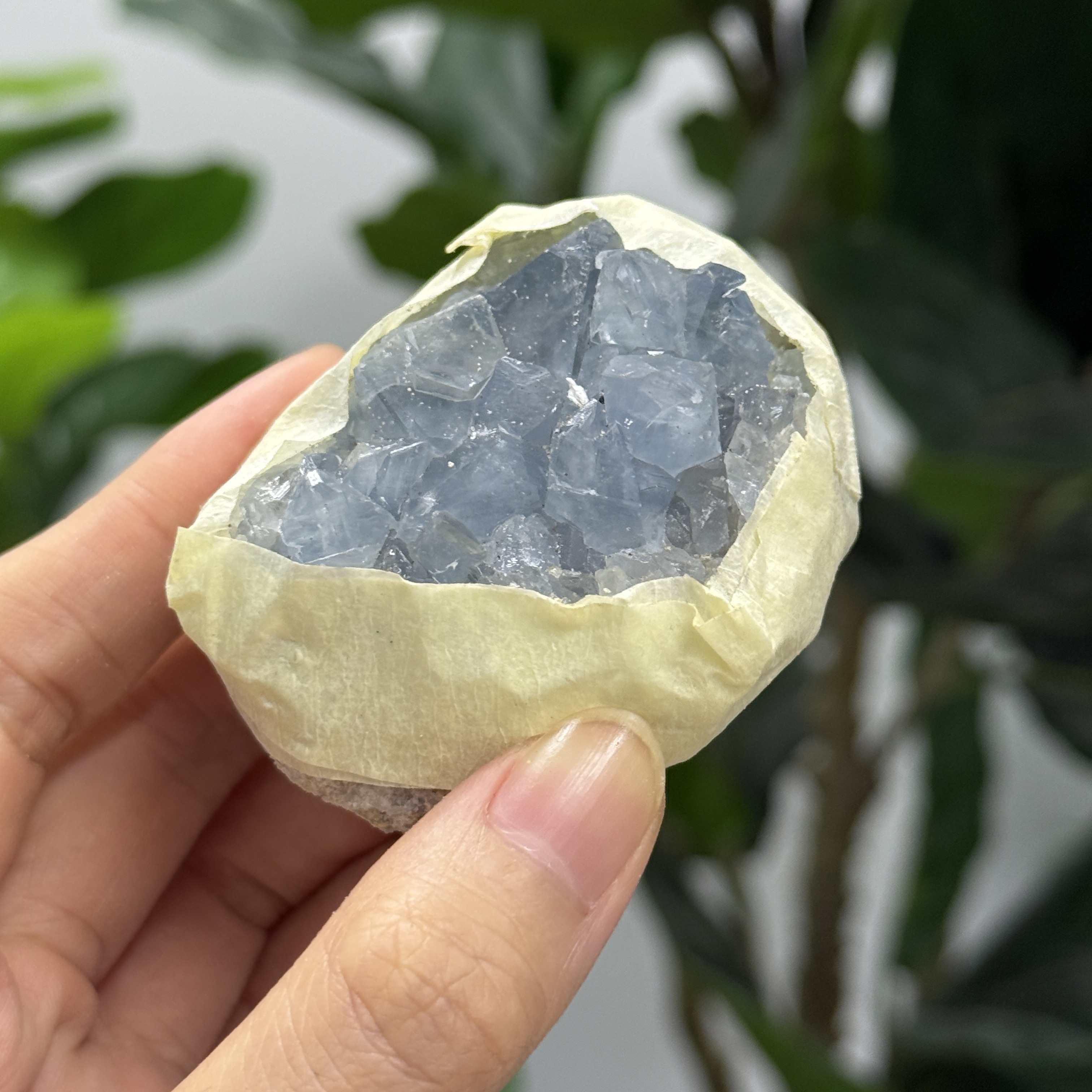 高級數天青石 CE1552