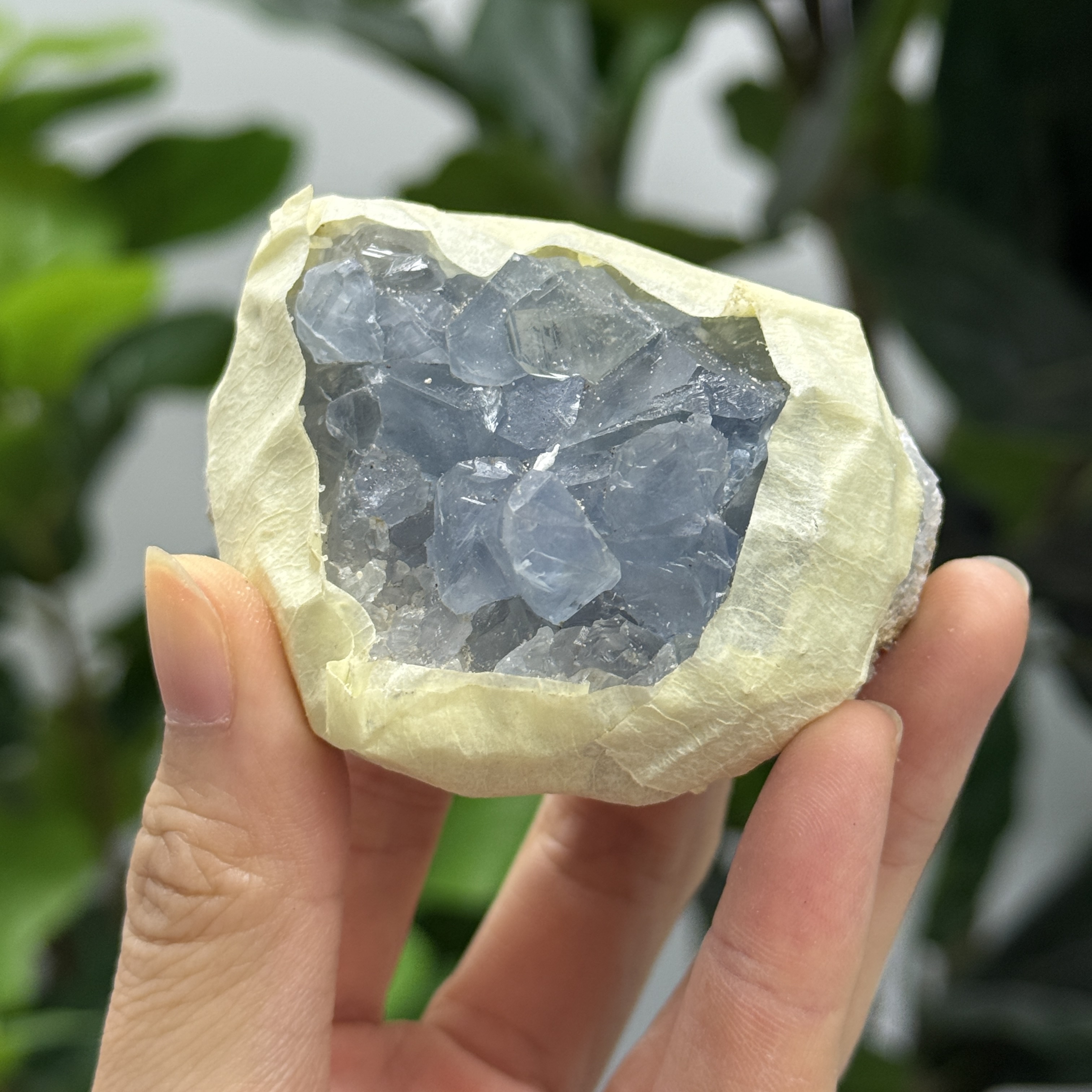 高級數天青石 CE1552