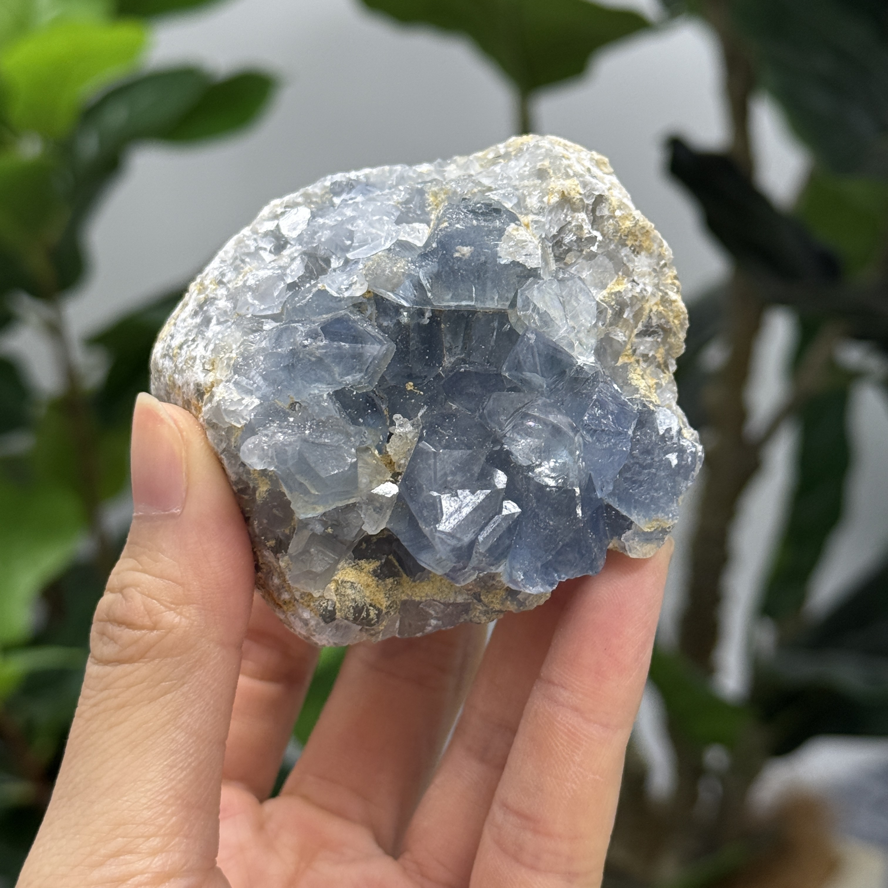 高級數天青石 CE1548