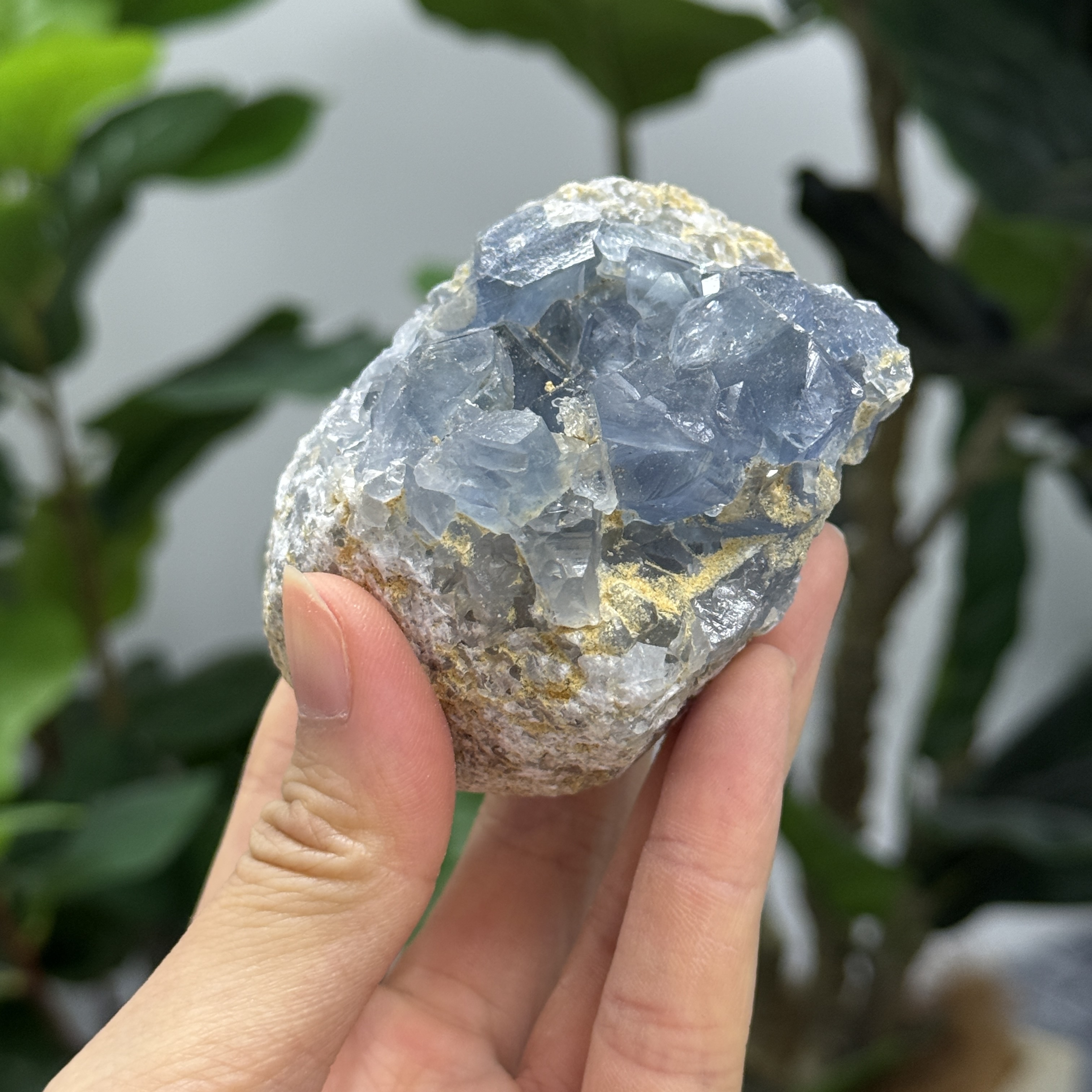 高級數天青石 CE1548