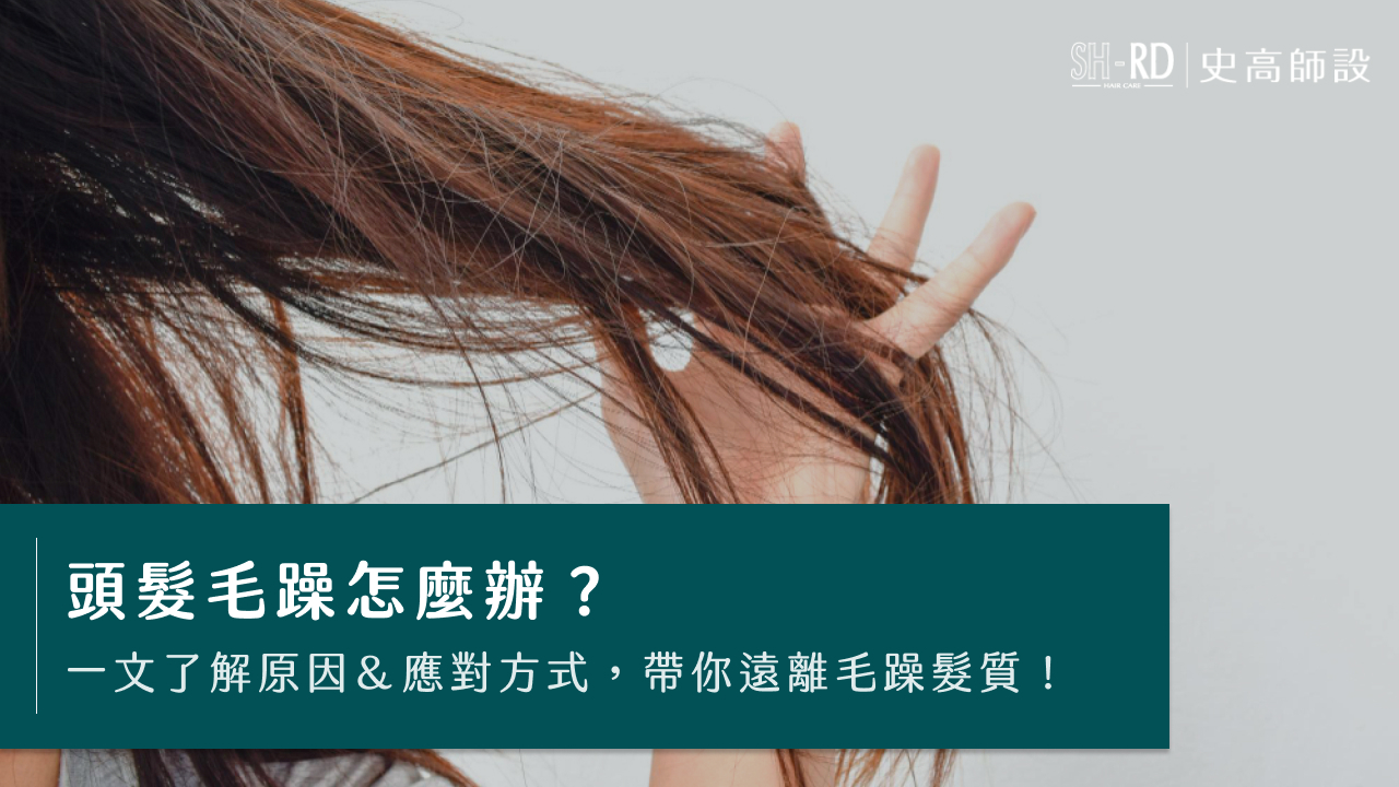 頭髮毛躁怎麼辦？一文了解原因＆應對方式，帶你遠離毛躁髮質！
