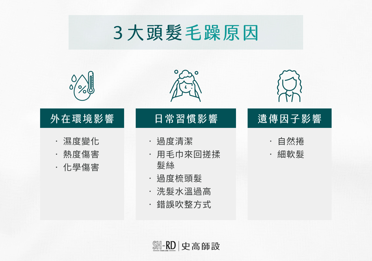 3大頭髮毛躁原因