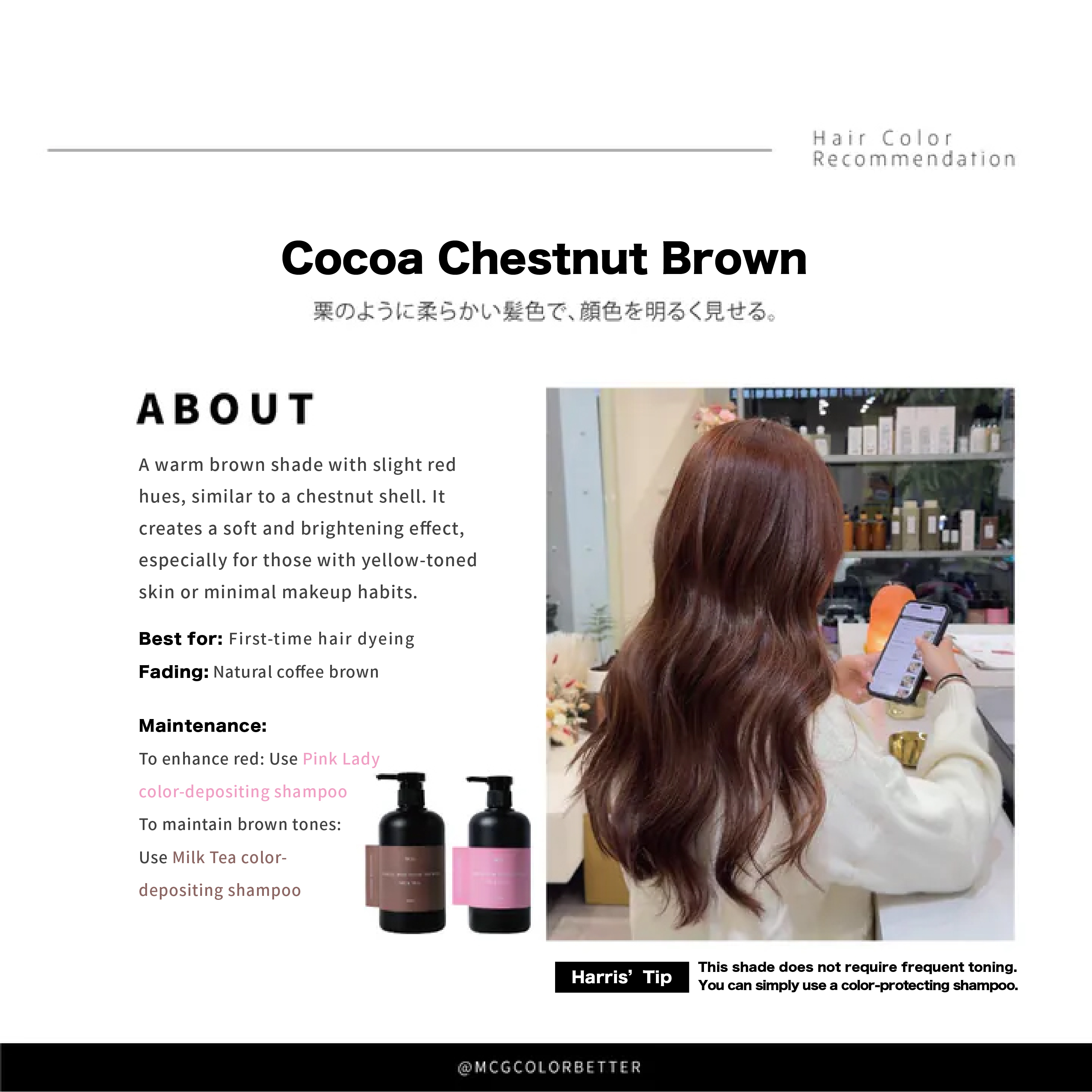 Cocoa Chestnut Brown