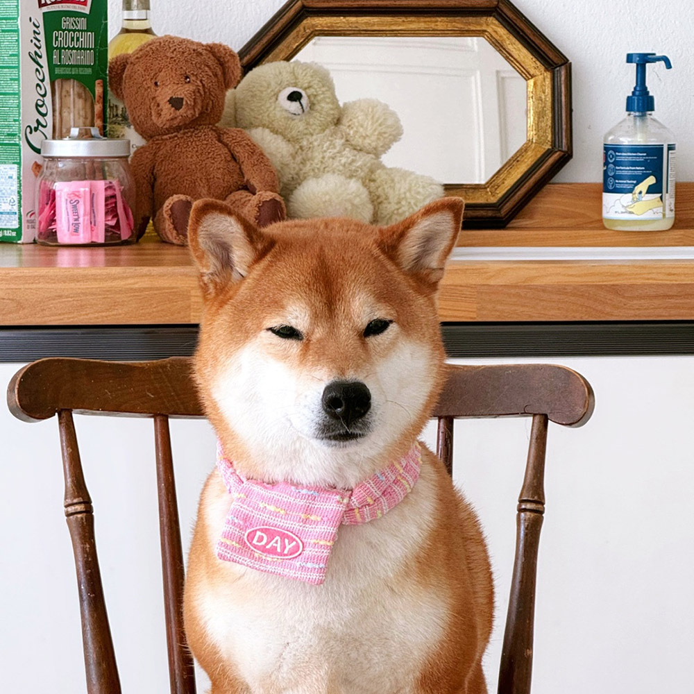 【預購】cuddly day｜花園野餐 圍巾