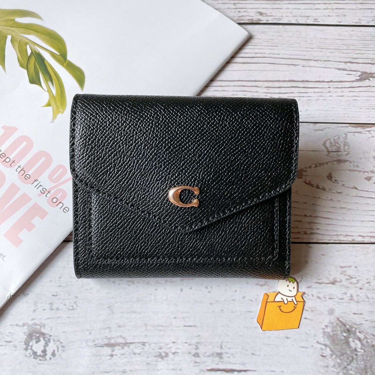 Wyn Small Wallet In Colorblock Signature