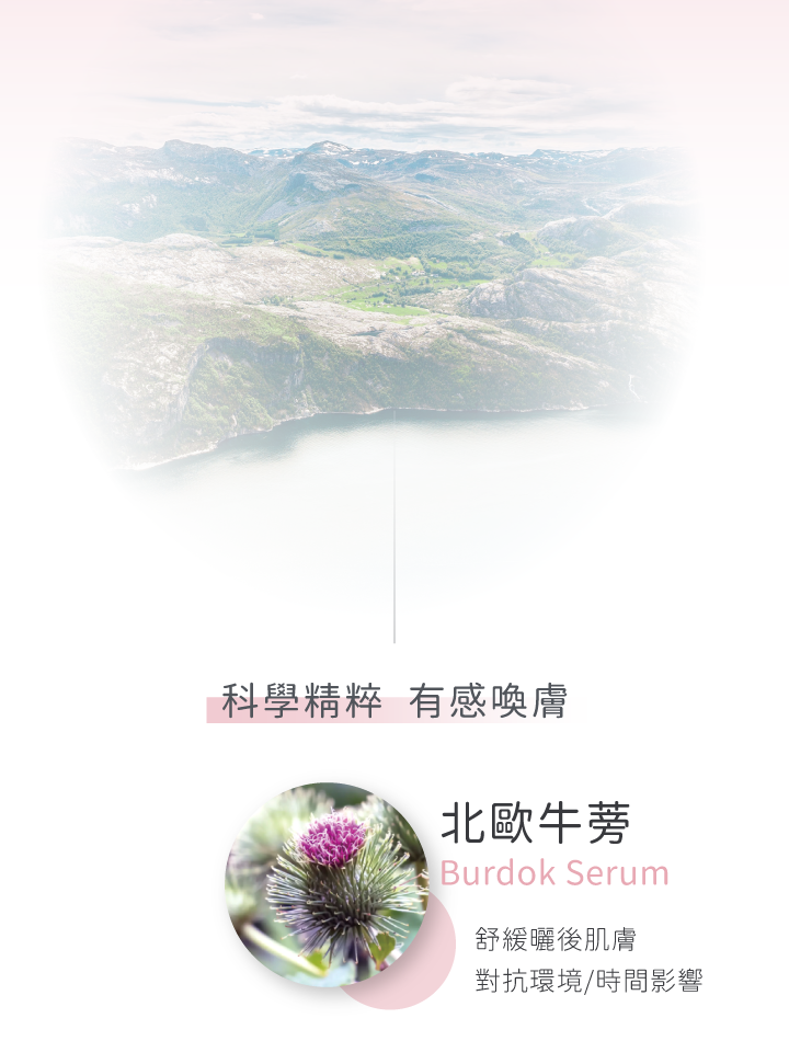 Bionnex北歐植研三合一15%左型C精華液 維他命C精華液