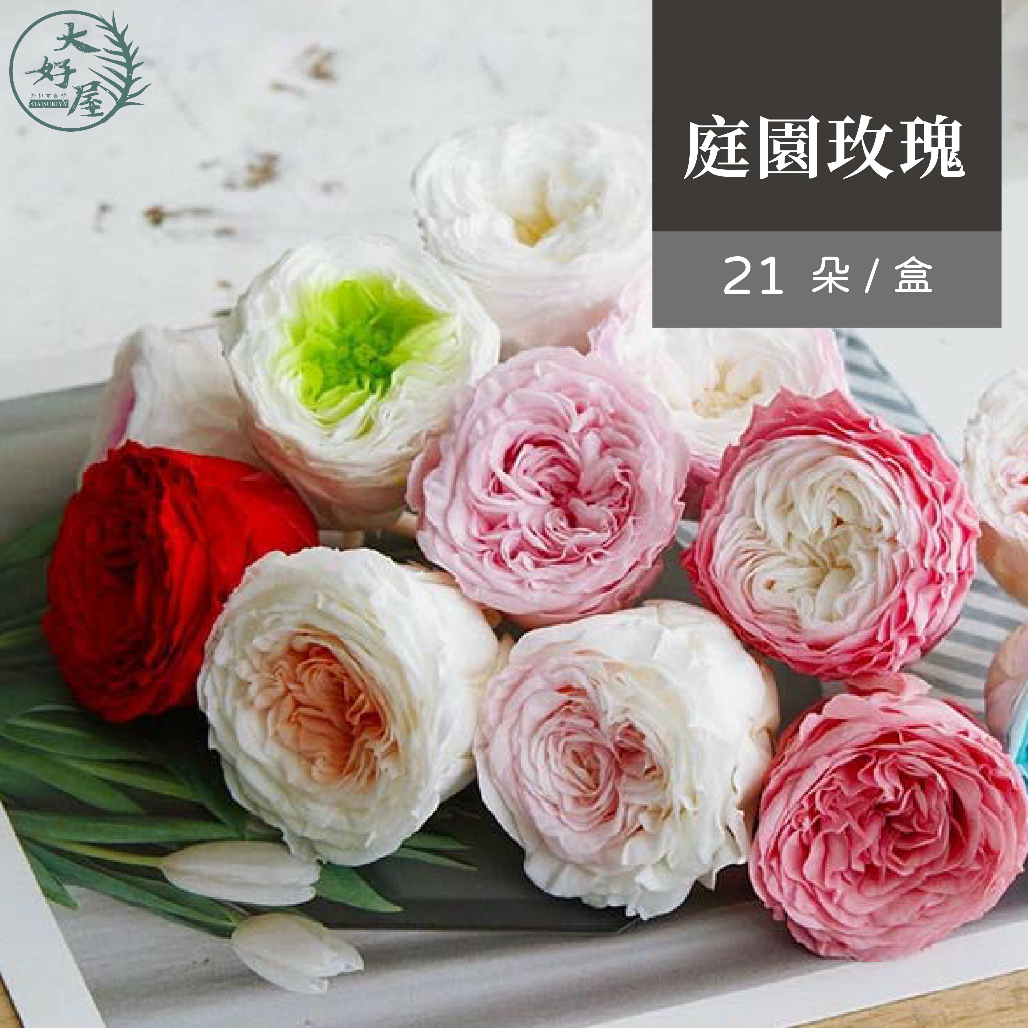 永生庭園玫瑰【21朵】（巧克力泡泡）