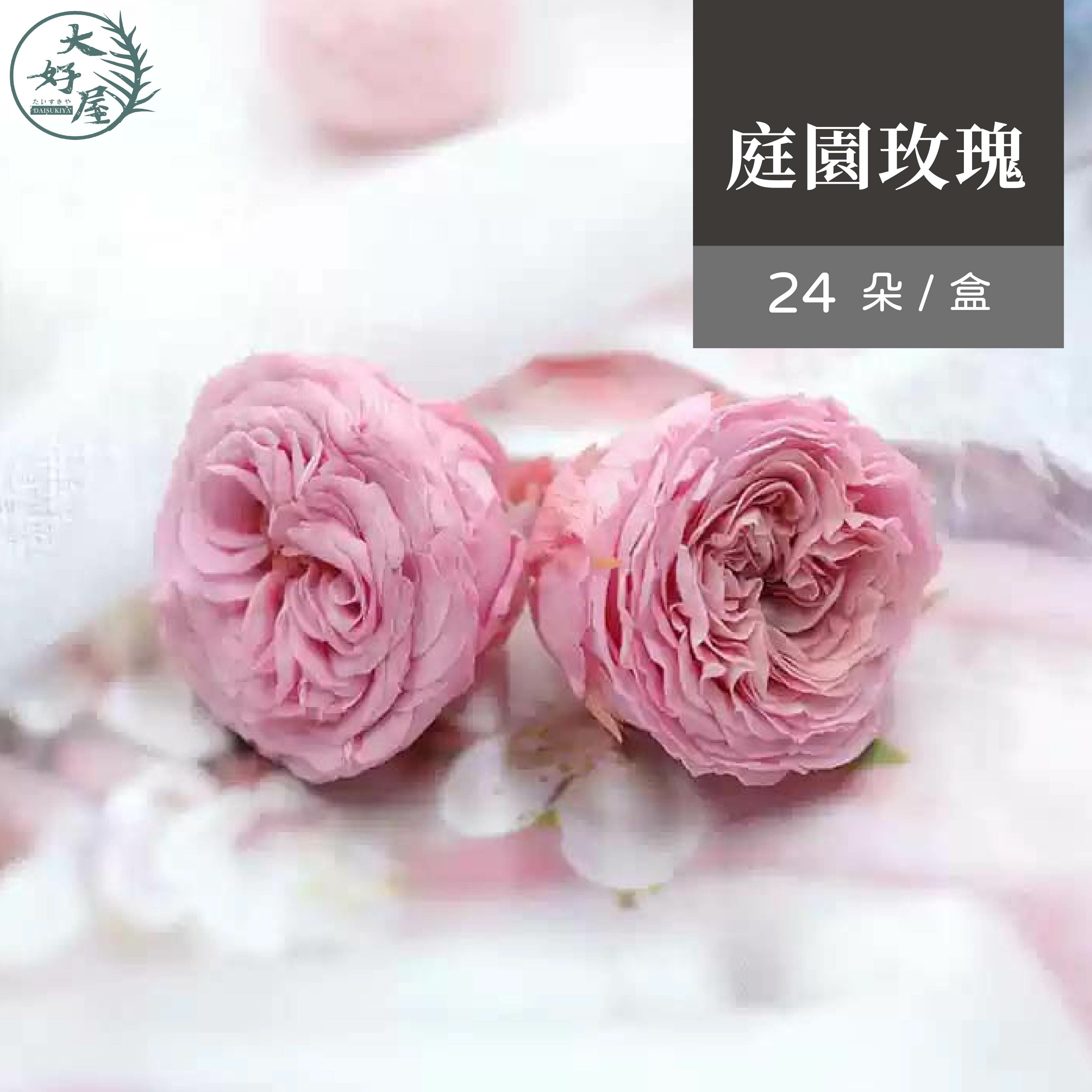 永生庭園玫瑰【24朵】（巧克力泡泡）