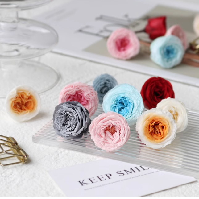 永生庭園玫瑰【24朵】（巧克力泡泡）