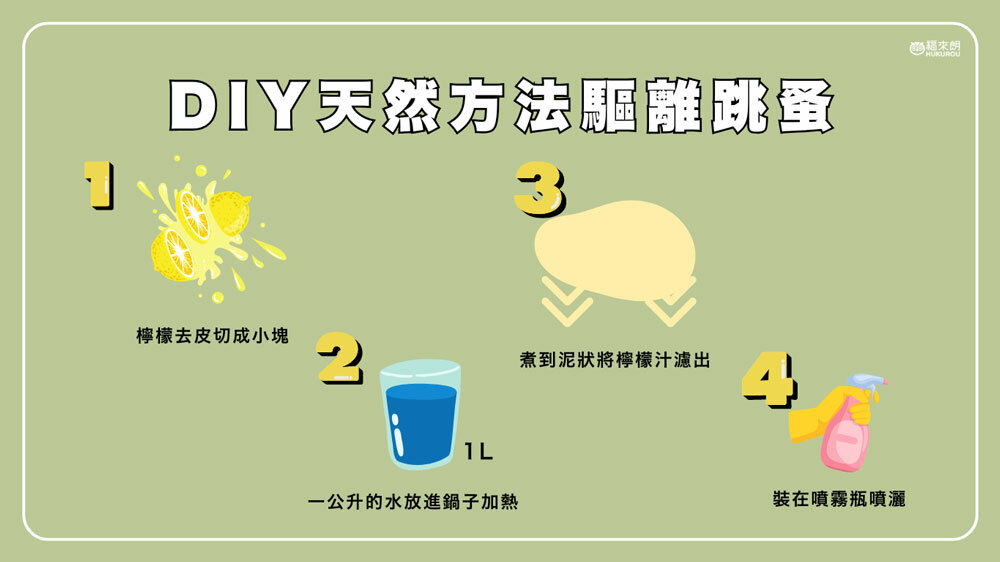 DIY天然方法驅離跳蚤：檸檬去皮切成小塊、放進鍋子加一公升水加熱、煮到泥狀後將檸檬汁濾出、裝在噴霧瓶噴灑