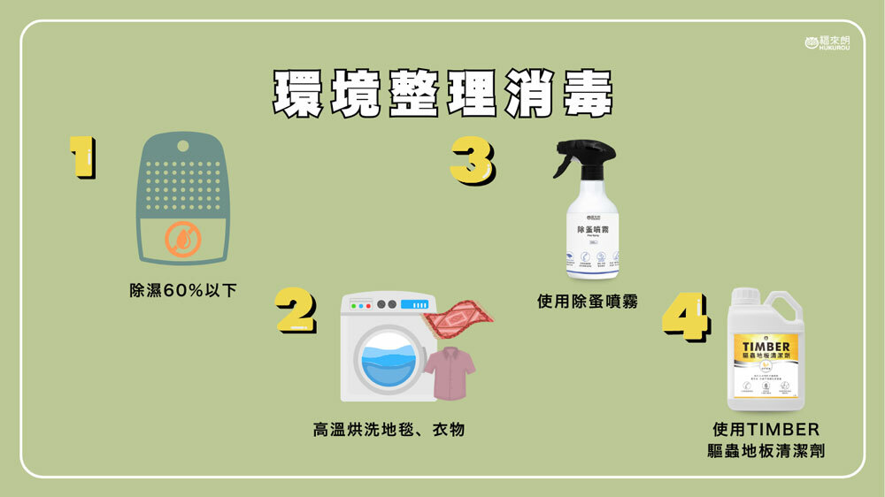 環境整理消毒：降濕至60%以下、衣物高溫烘洗、除蚤噴霧、驅蟲地板清潔劑