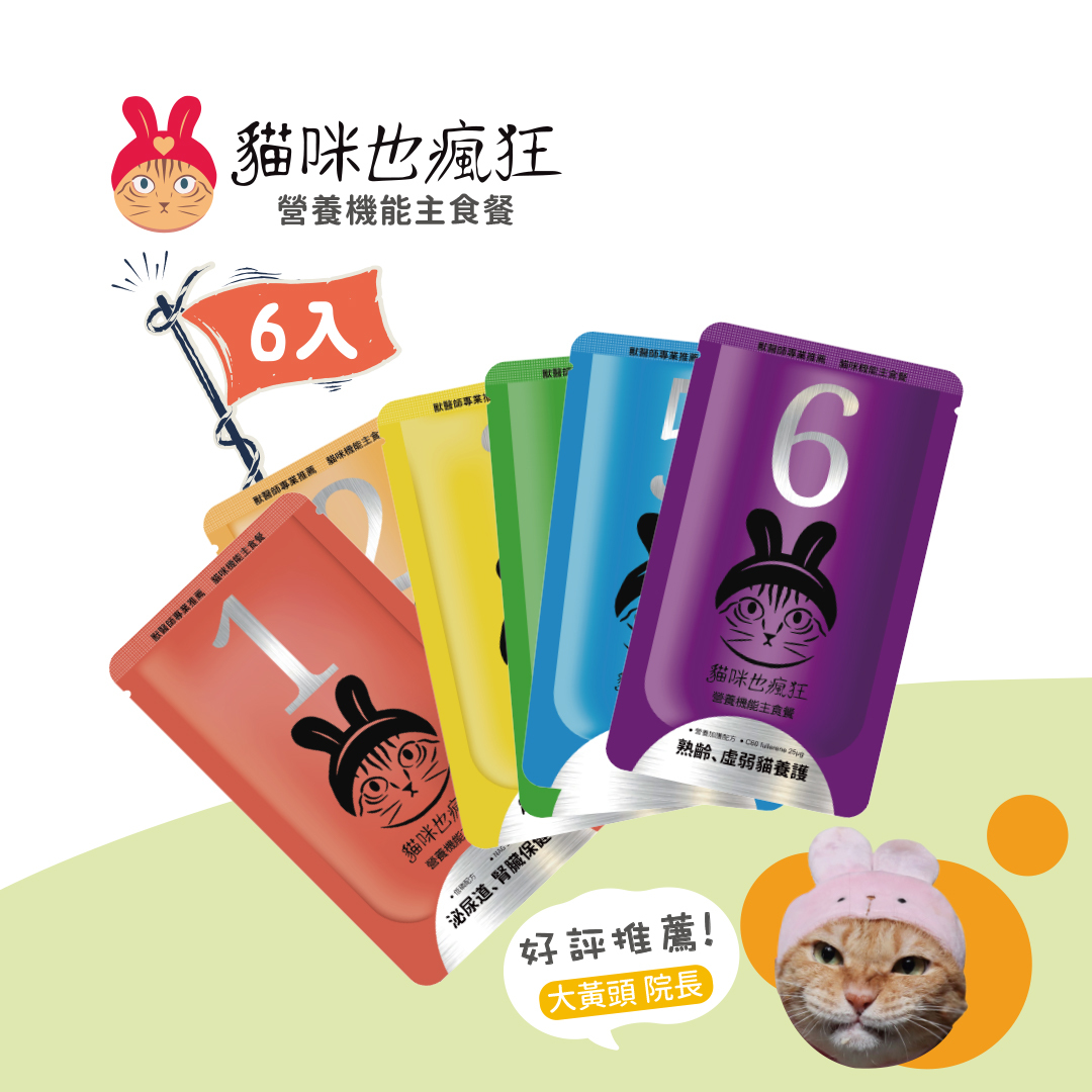 【貓咪也瘋狂】6入 ｜ 綜合體驗組