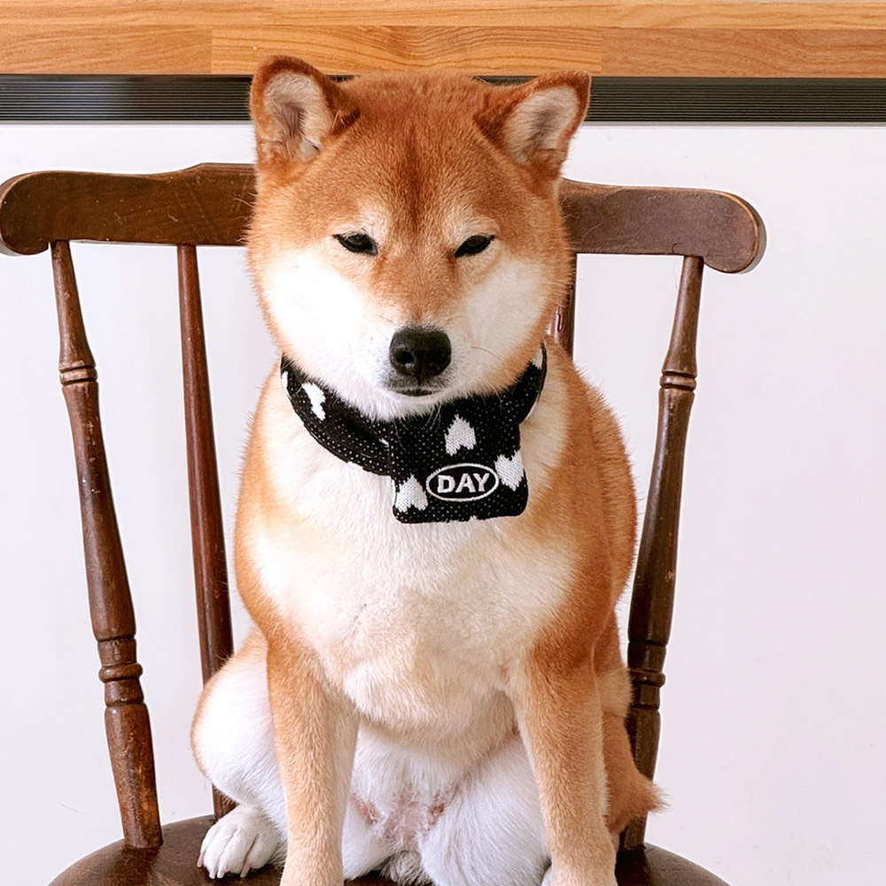 【預購】cuddly day｜愛心泡泡 圍巾