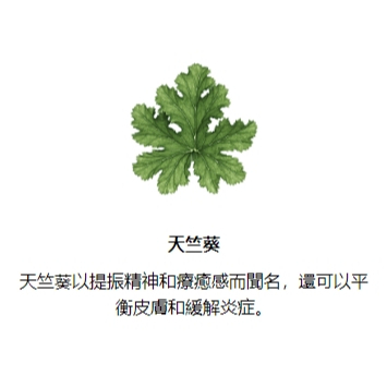 【樂森藥局】bamford天竺葵洗髮露250ml