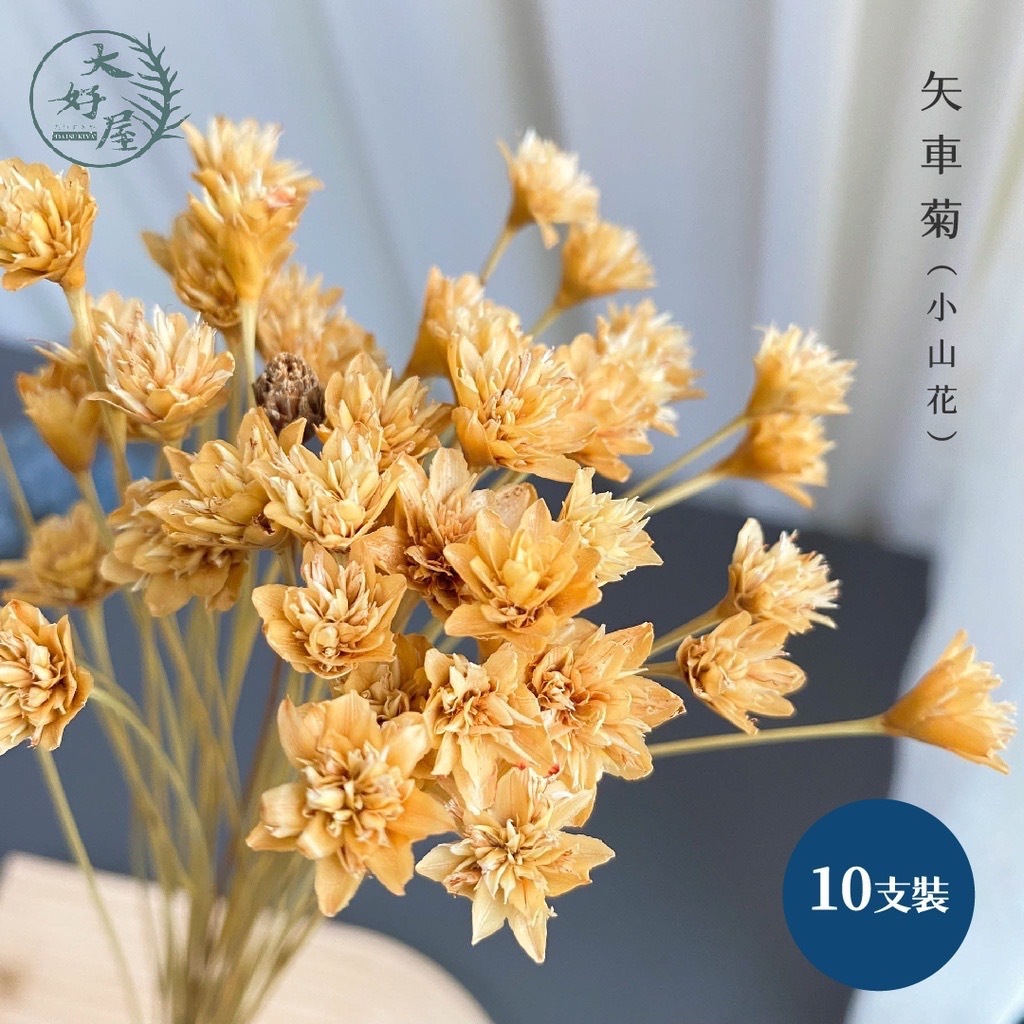 【網】乾燥 / 永生 小山花【10支裝】 (矢車菊)