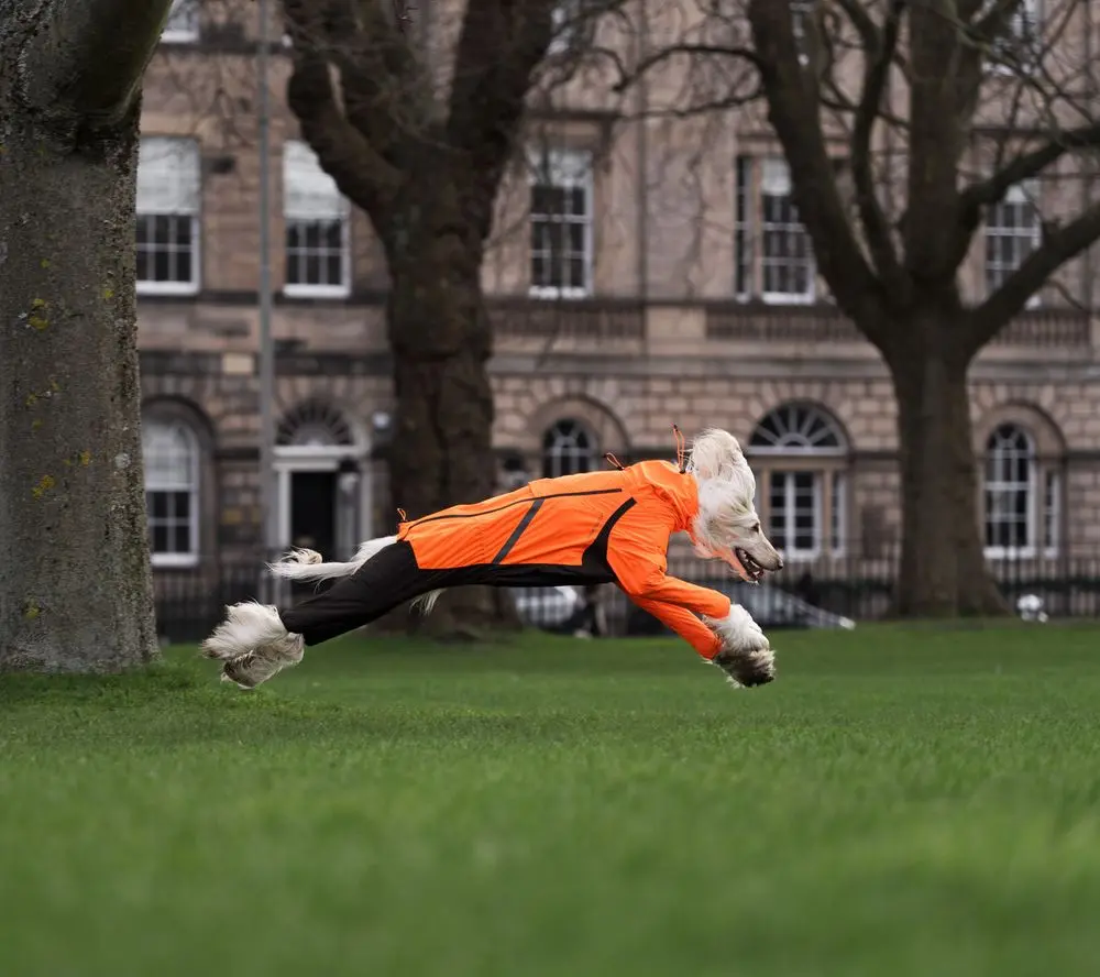 【Non-stop dogwear】FJORD彈性機能四腳雨衣(黑橘色）