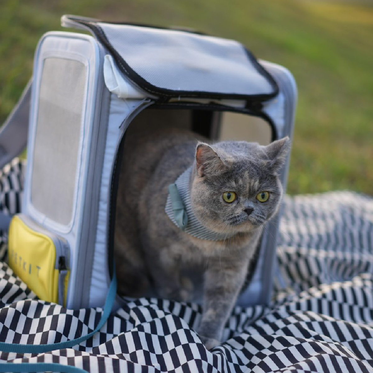 【新品8折】Petkit xZONE 寵物背包