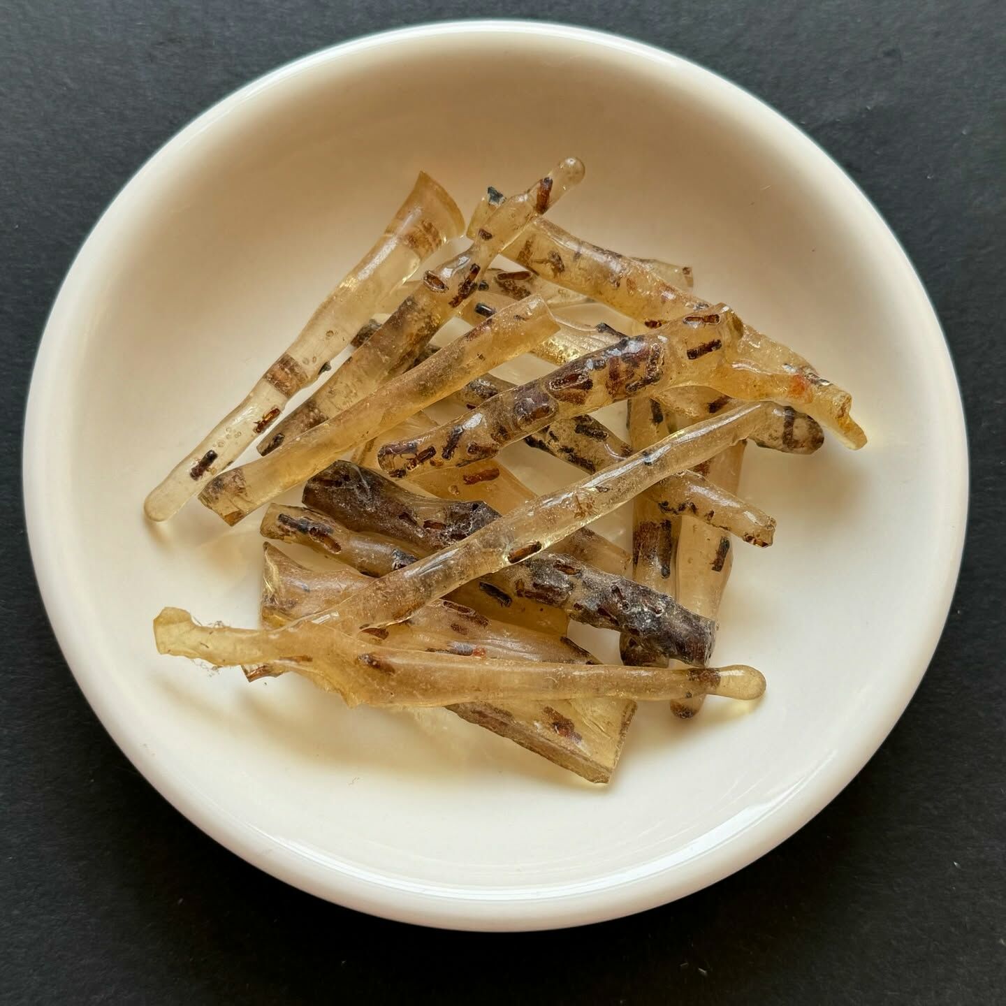 [原石] 蟲珀 琥珀