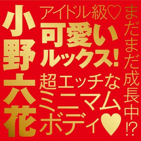 EXE,日本 EXE,EXE 自慰套,男用自慰套,男用飛機杯,飛機杯,女優名器,女優自慰套,女優飛機杯,真人倒模,女優倒模,小野六花,小野キネ