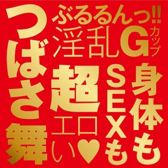 EXE,日本 EXE,EXE 自慰套,男用自慰套,男用飛機杯,飛機杯,女優名器,女優自慰套,女優飛機杯,真人倒模,女優倒模,翼舞,つばさ舞