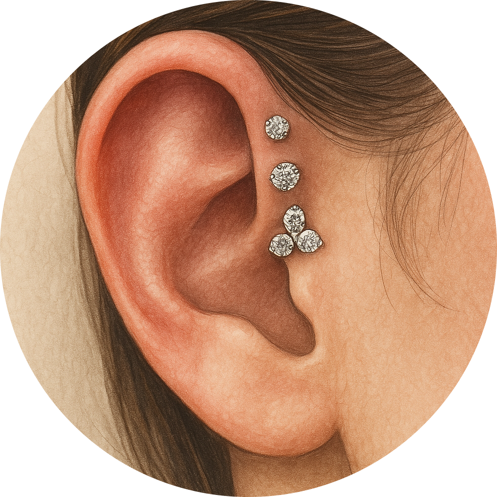外耳骨洞 Forward Helix