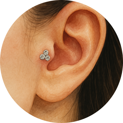 耳屏洞 Tragus