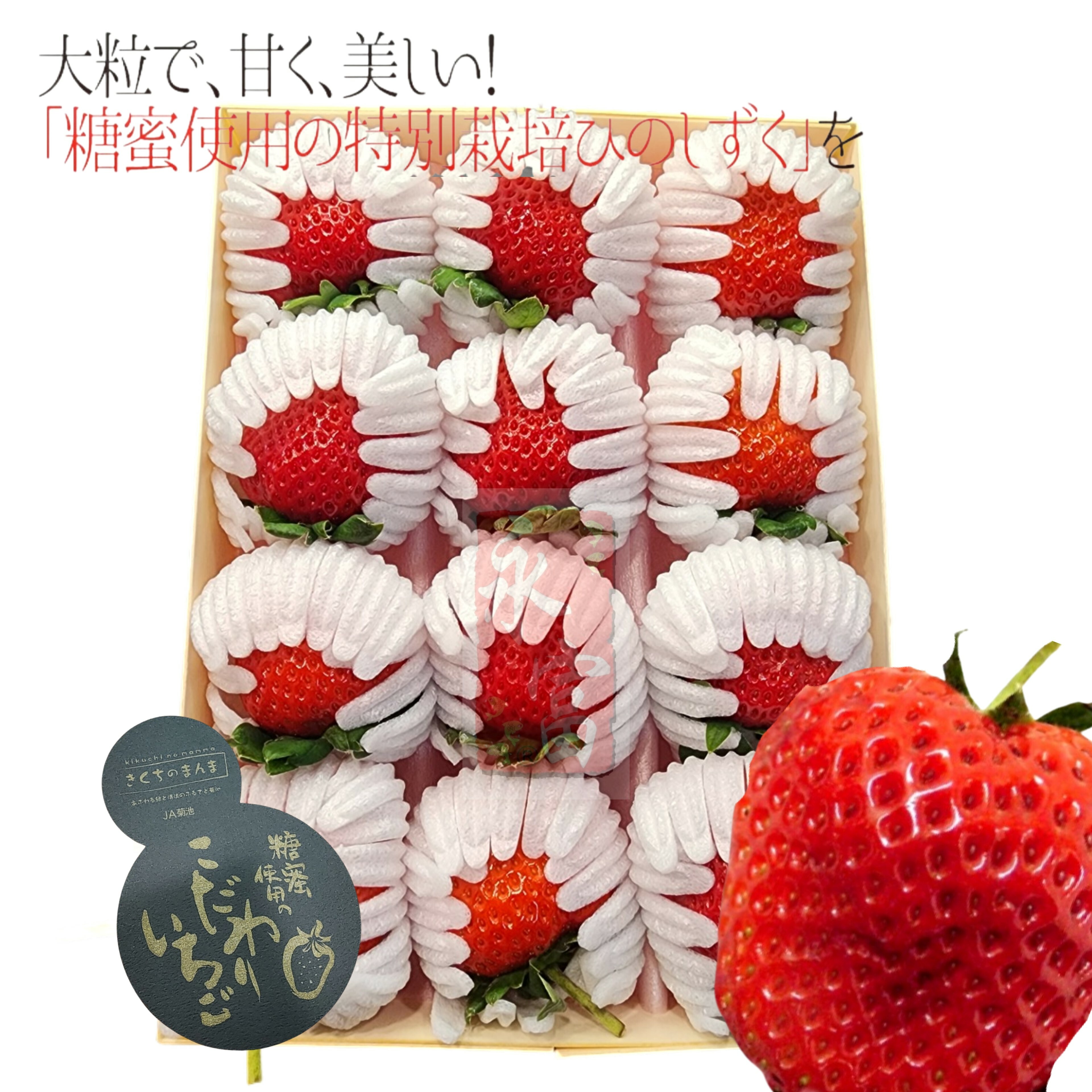 日本熊本縣士多啤梨-菊池