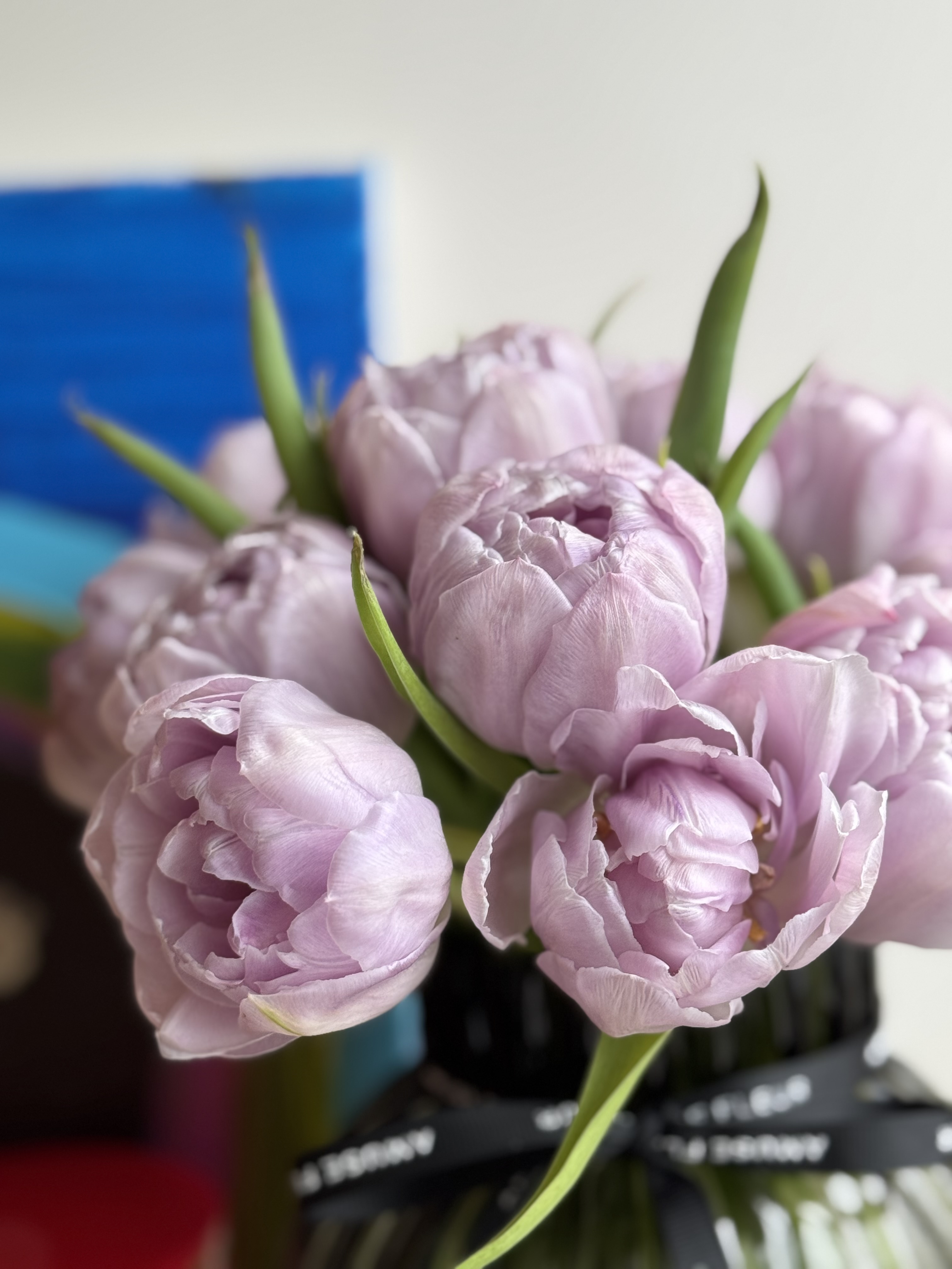 Lavender Love Tulips